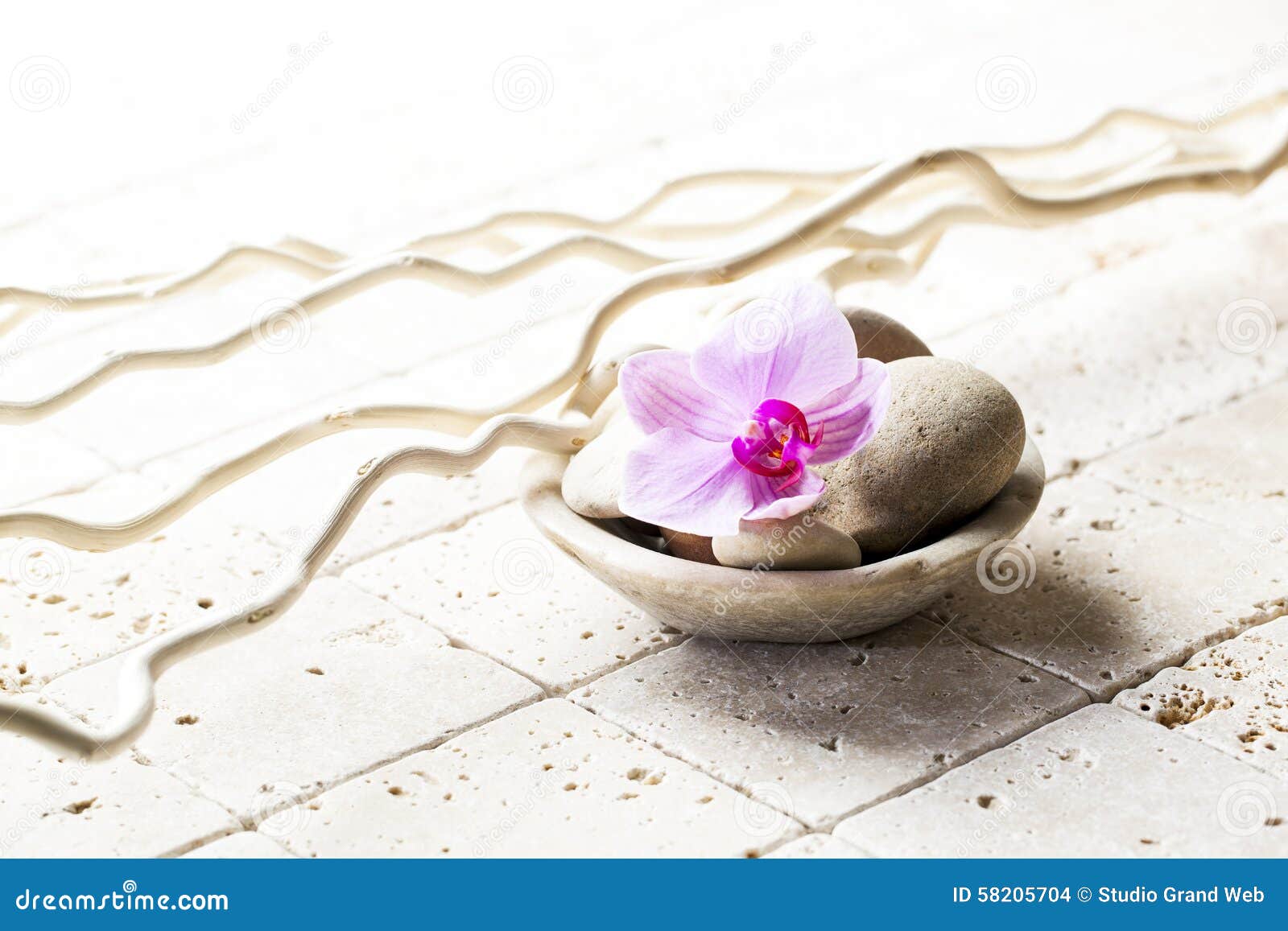 Mineral Cup With Stones And Flower For Zen Attitude Stock Photo Image Of Natural Orchid Mineral Cup With Stones And Flower For Zen Attitude Stock Photo Image Of Natural Orchid