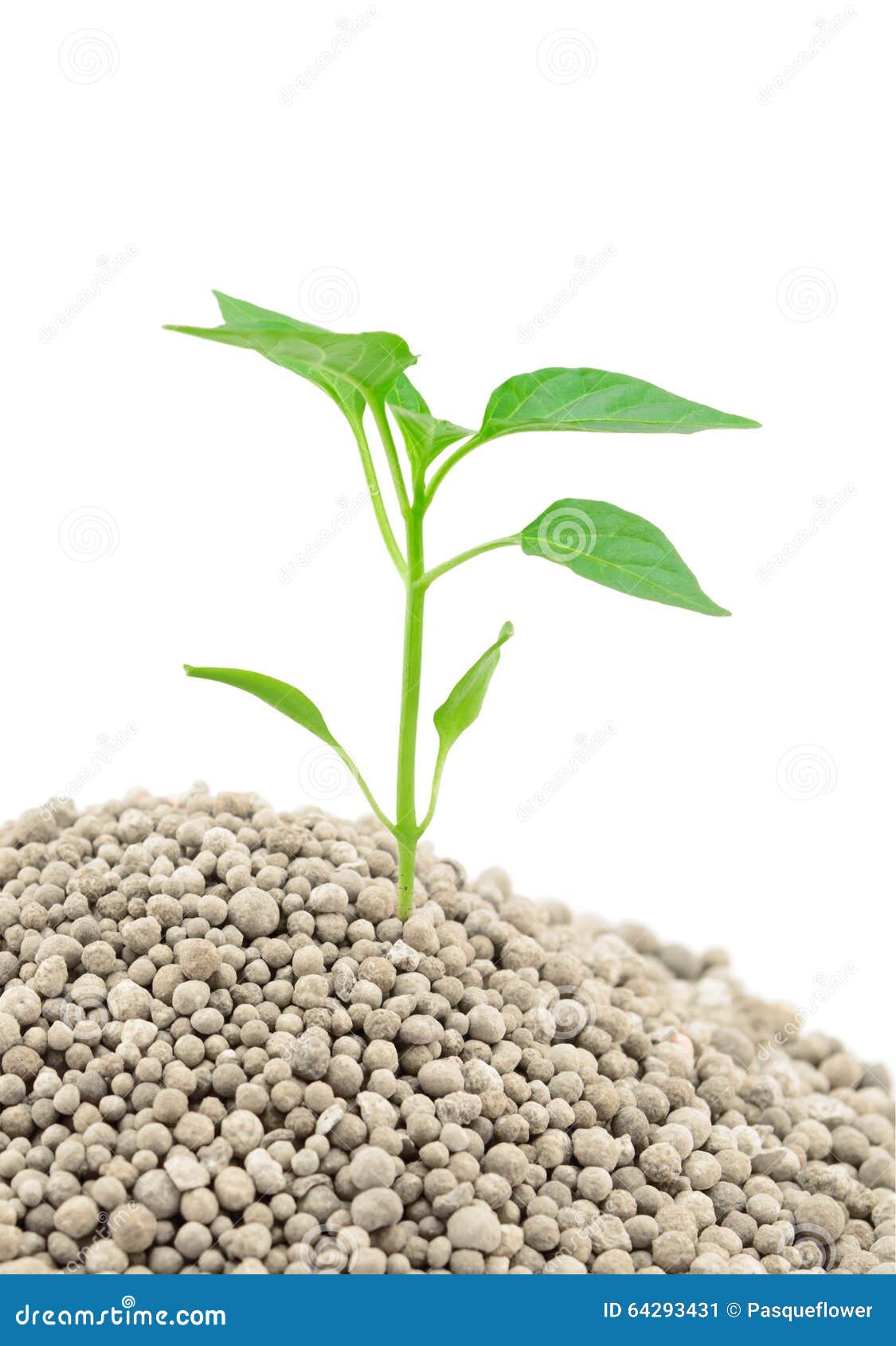 Mineral Fertilizers Granules on White Stock Image Image of industry