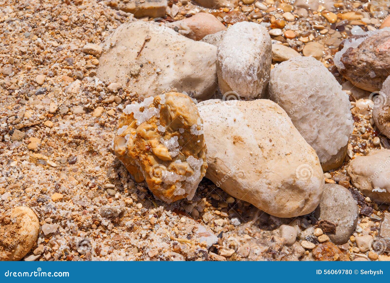 Minerals Of Dead Sea Stock Photo Image Of Waves Water 56069780