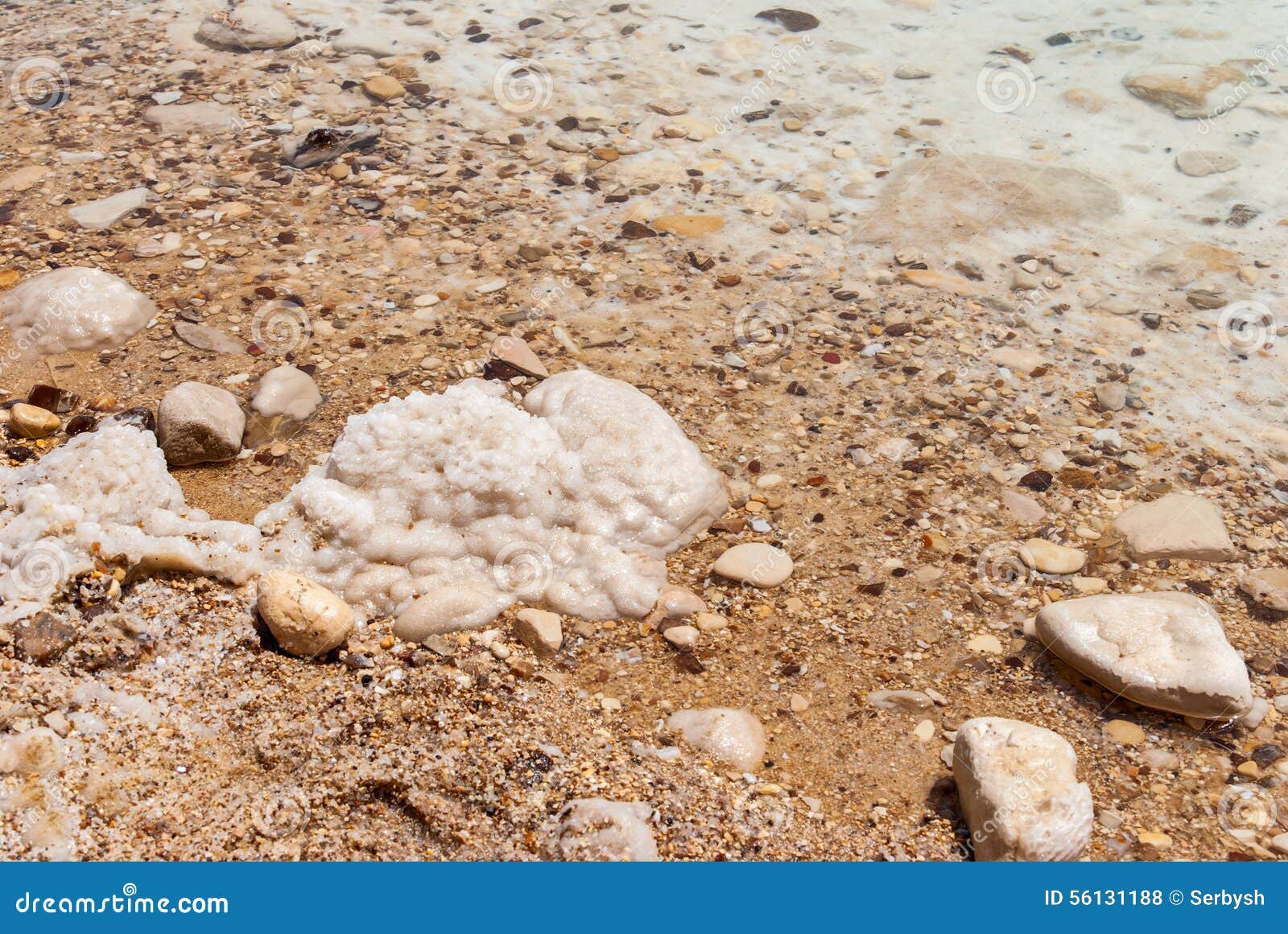 Minerals Of Dead Sea Stock Photo Image Of Beach Geological 56131188