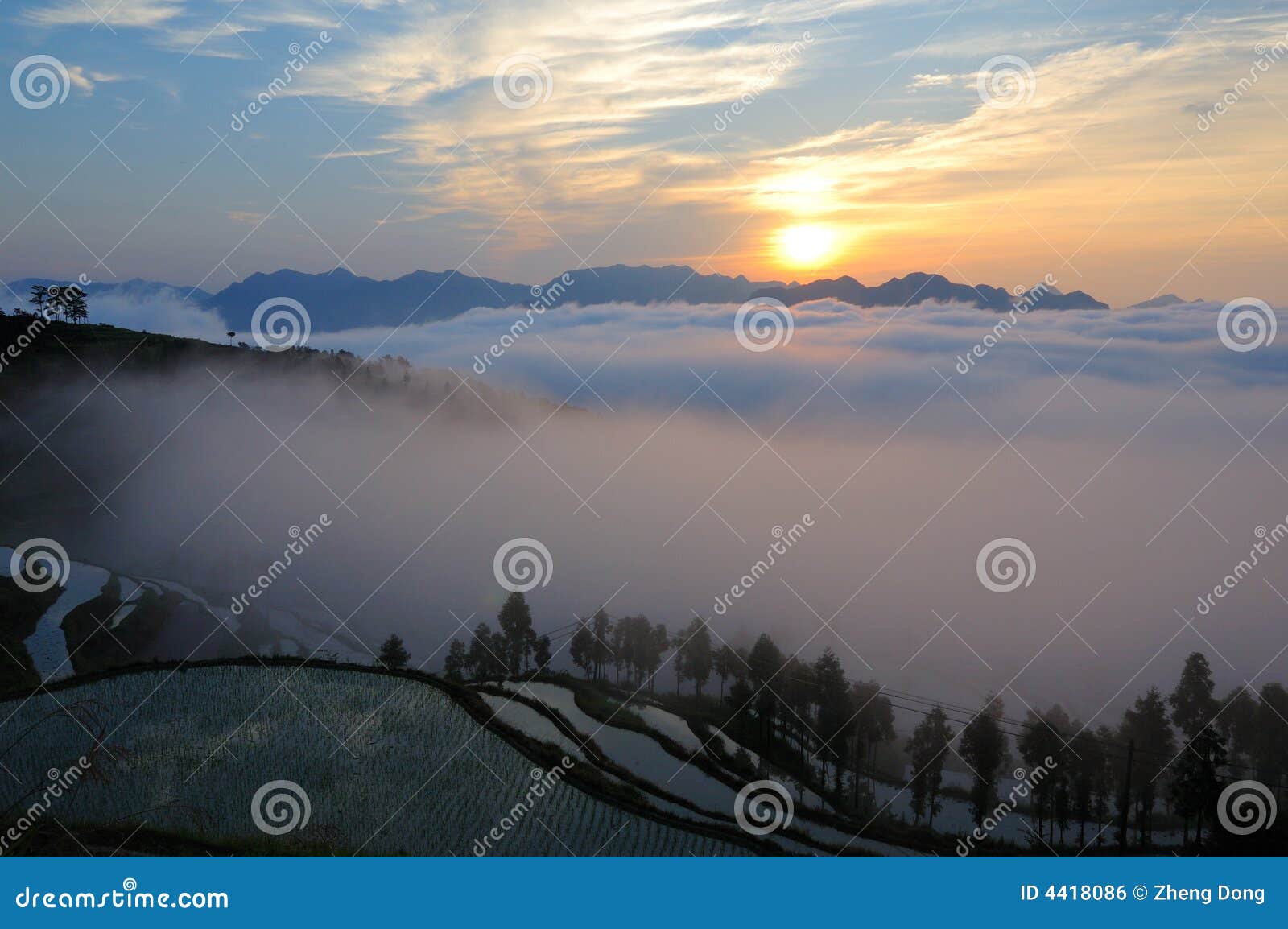 mingao terraced fields sunrise