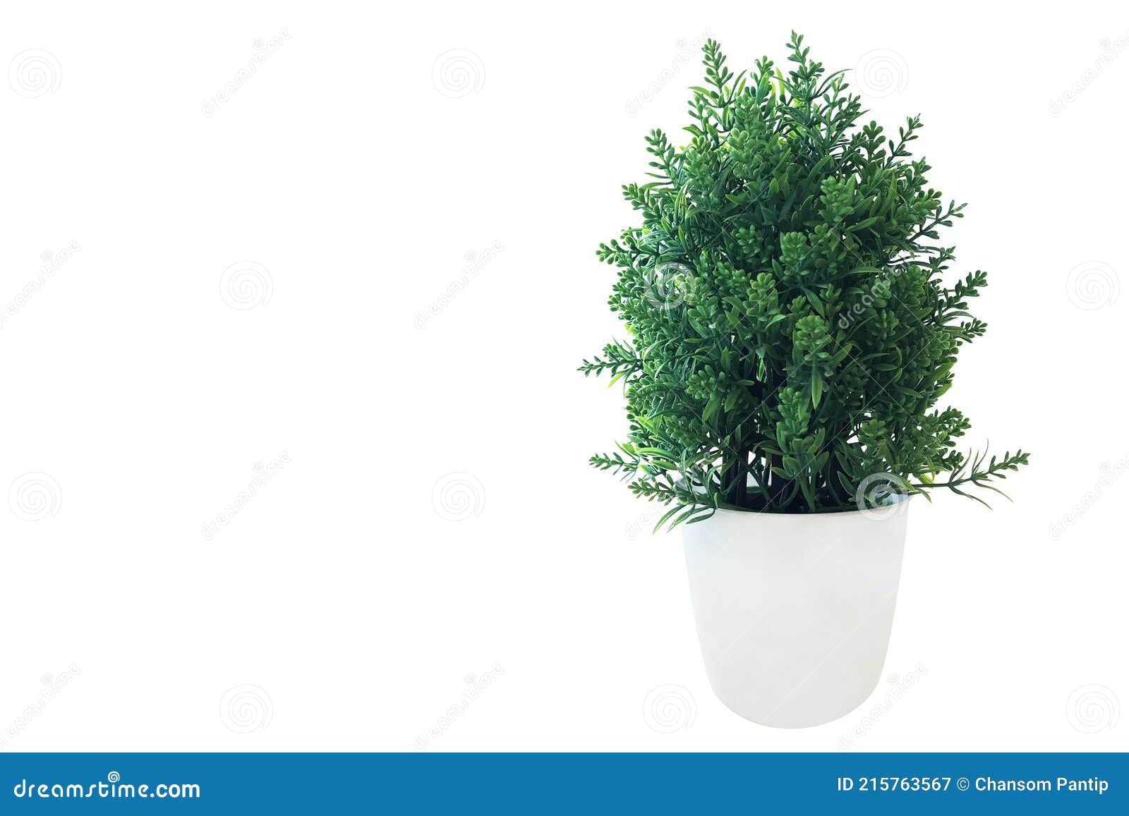 Mini Arbre Vert Buisson Plante En Pot Feuilles Vertes Fausse Plante En Pot  Blanc Pour Intérieur Décoration De Chambre Isolé Sur Fo Image stock - Image  du lames, houseplant: 215763567