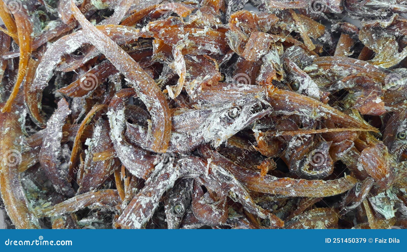 Raw Ham During The Salting Process Inside A Refrigeration Cell. Stock