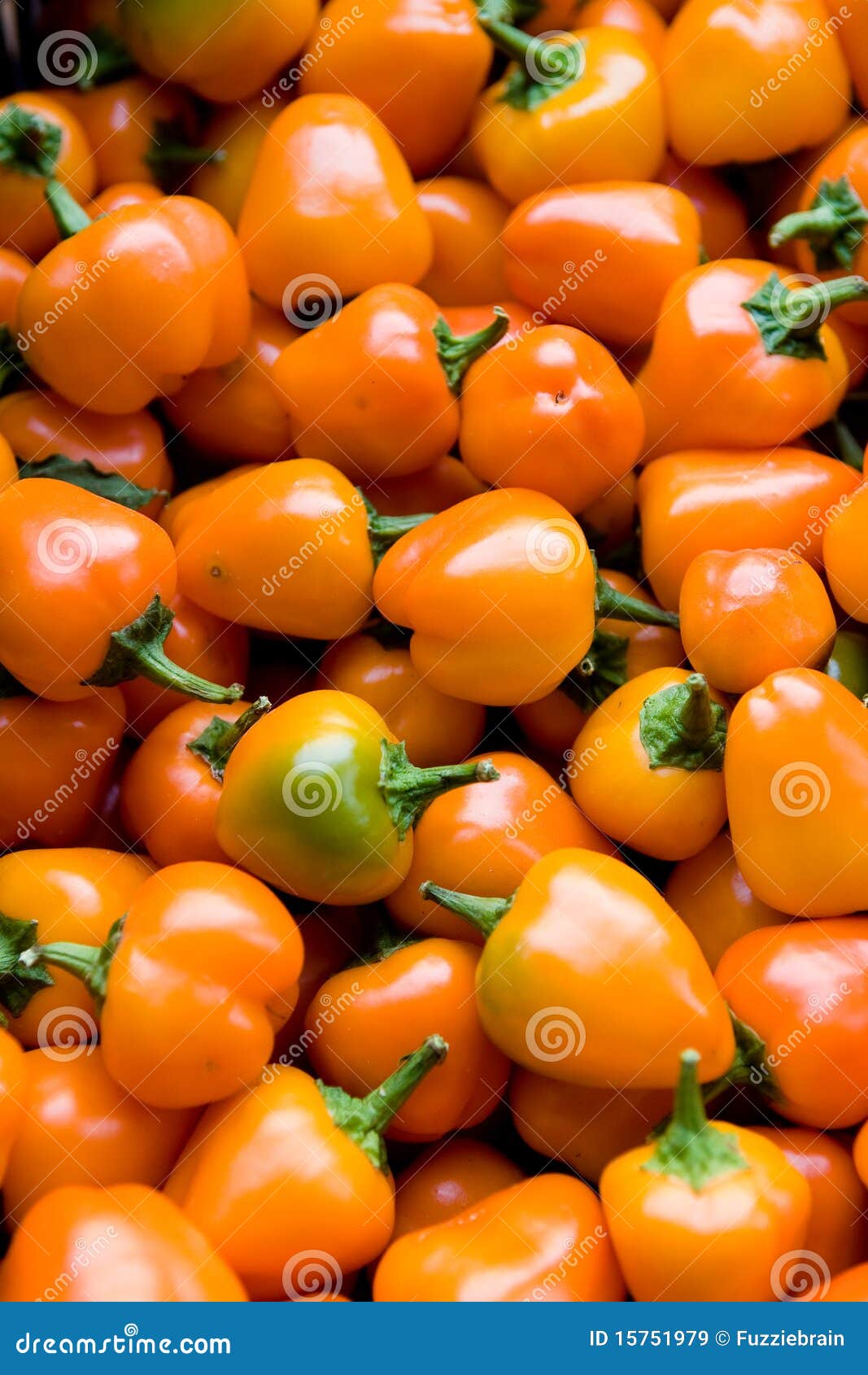 Mini Orange Peppers stock image. Image of peppers, fruits 15751979