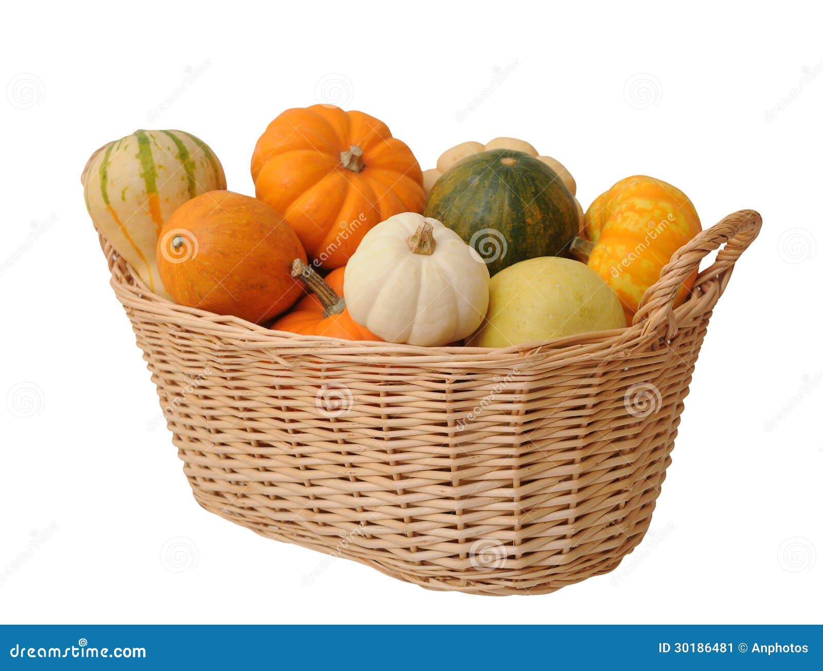 Mini pumpkins and gourd stock image. Image of holiday - 30186481