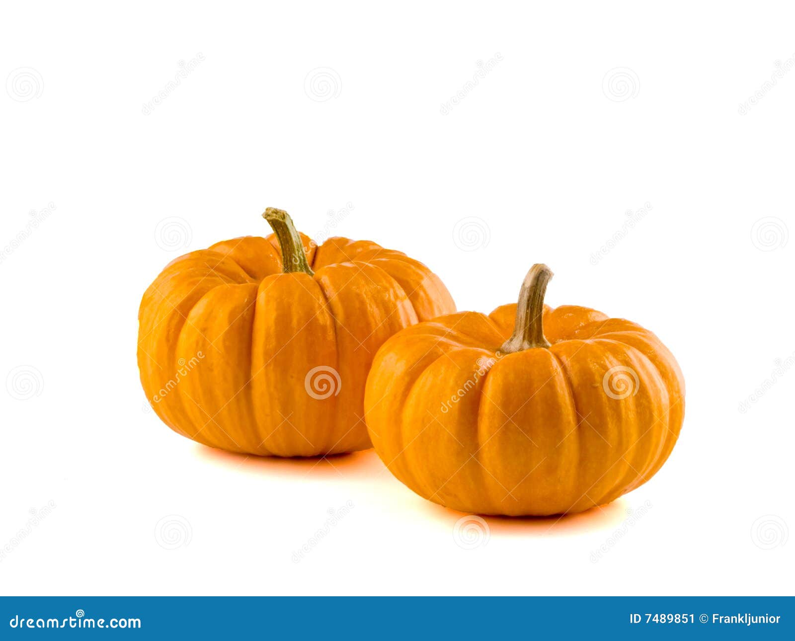 mini pumpkins  2