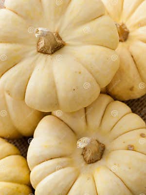Mini Pumpkins Stock Photo Image Of Burlap Fruit Natural 258278130 Mini Pumpkins Stock Photo Image Of Burlap Fruit Natural 258278130