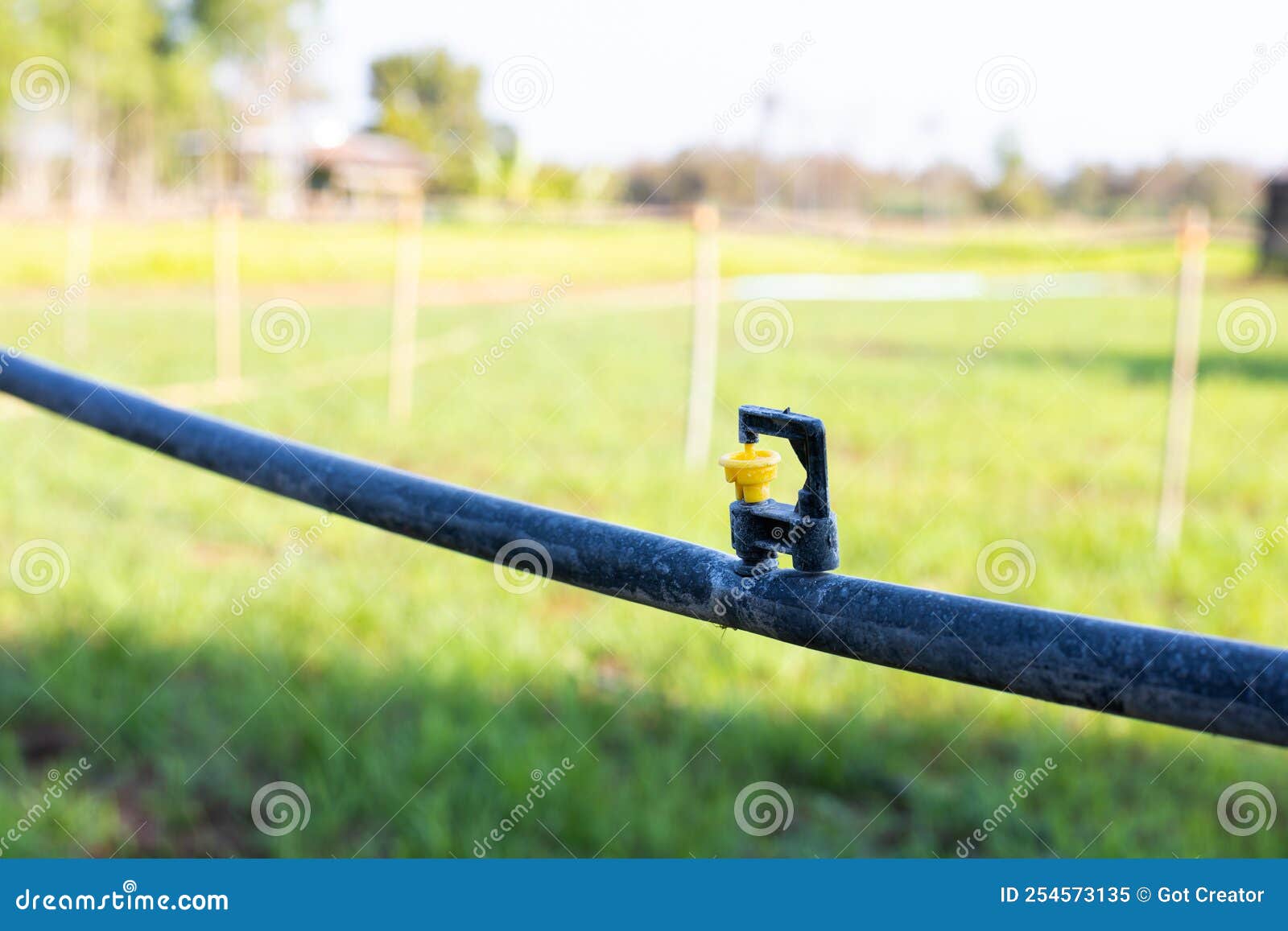 Mini Sprinkler Heads in the Garden Reduce Drought Stock Image Image