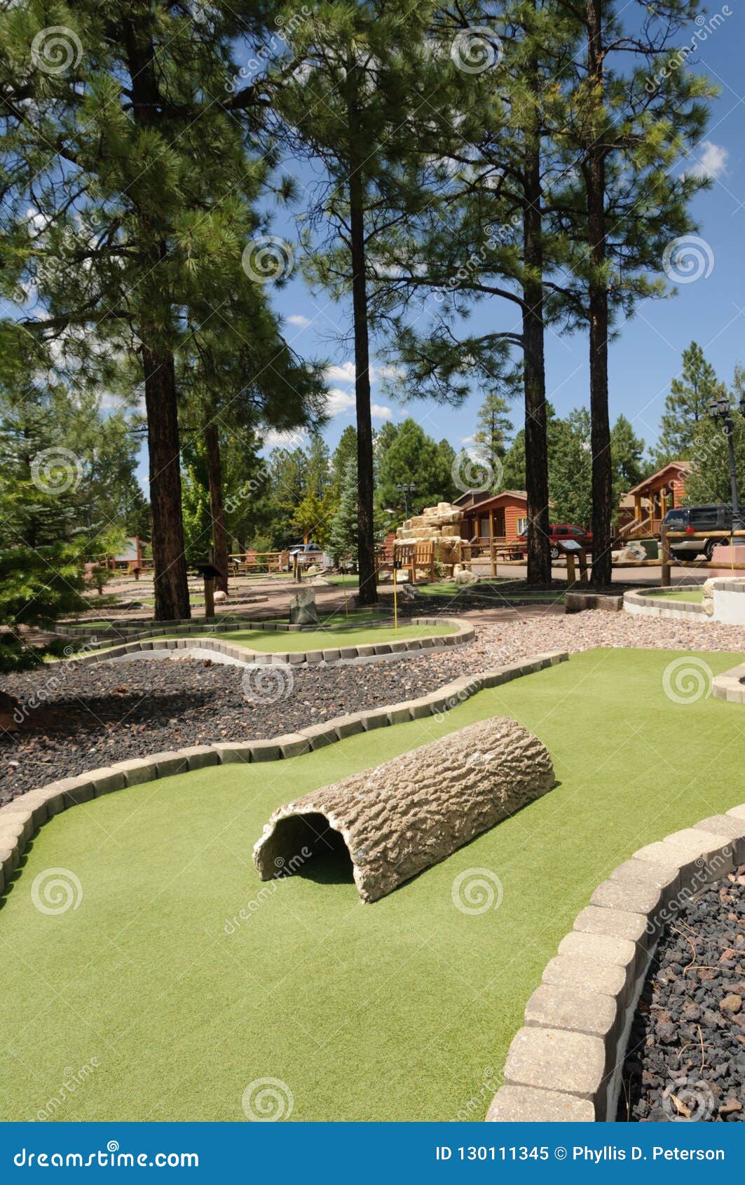 Miniature Golf Course Outdoors Stock Image Image of pine, tall 130111345