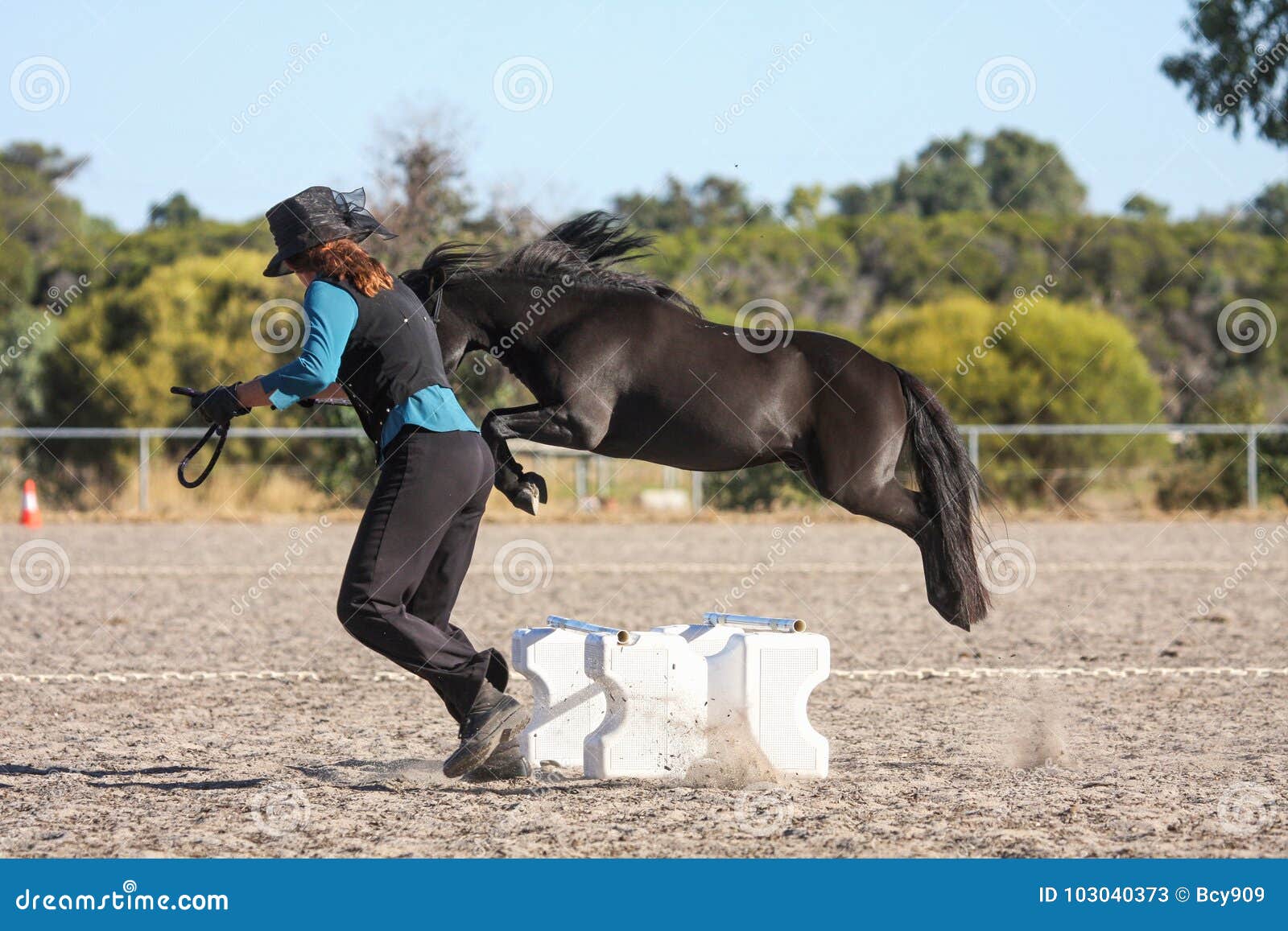 Miniature horse jumping editorial stock photo. Image of horseman 103040373