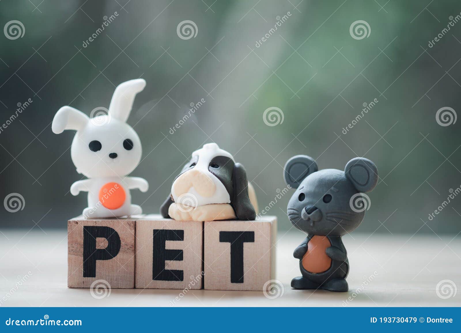 Miniature Rabbit, Dog and Rat on Wood Block Word of PET Stock Image - Image of home, distance: 193730479 Miniature Rabbit, Dog and Rat on Wood Block Word of PET Stock Image - Image of home, distance: 193730479