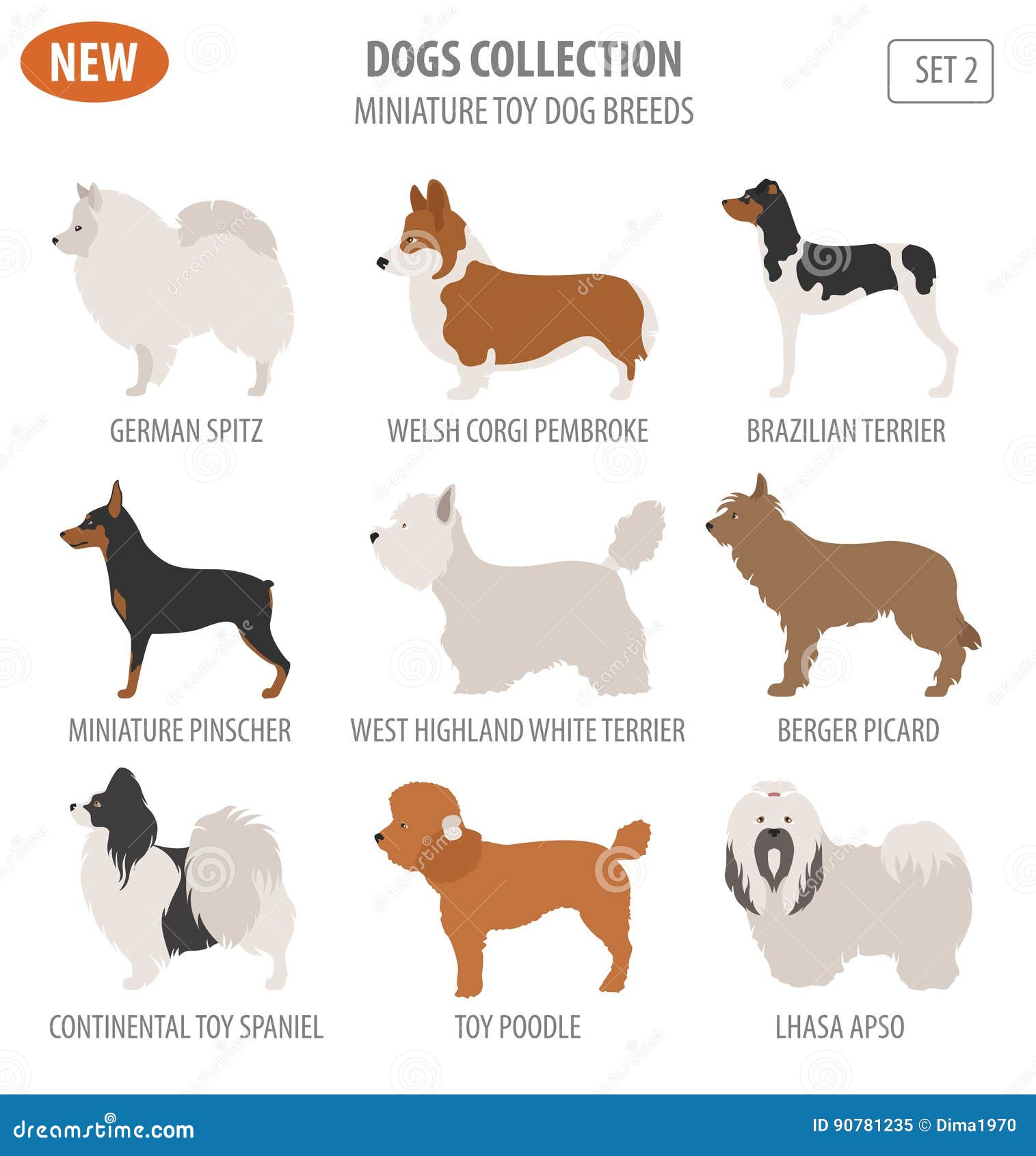 Premium Vector  Dog breeds set, small and medium size, side view