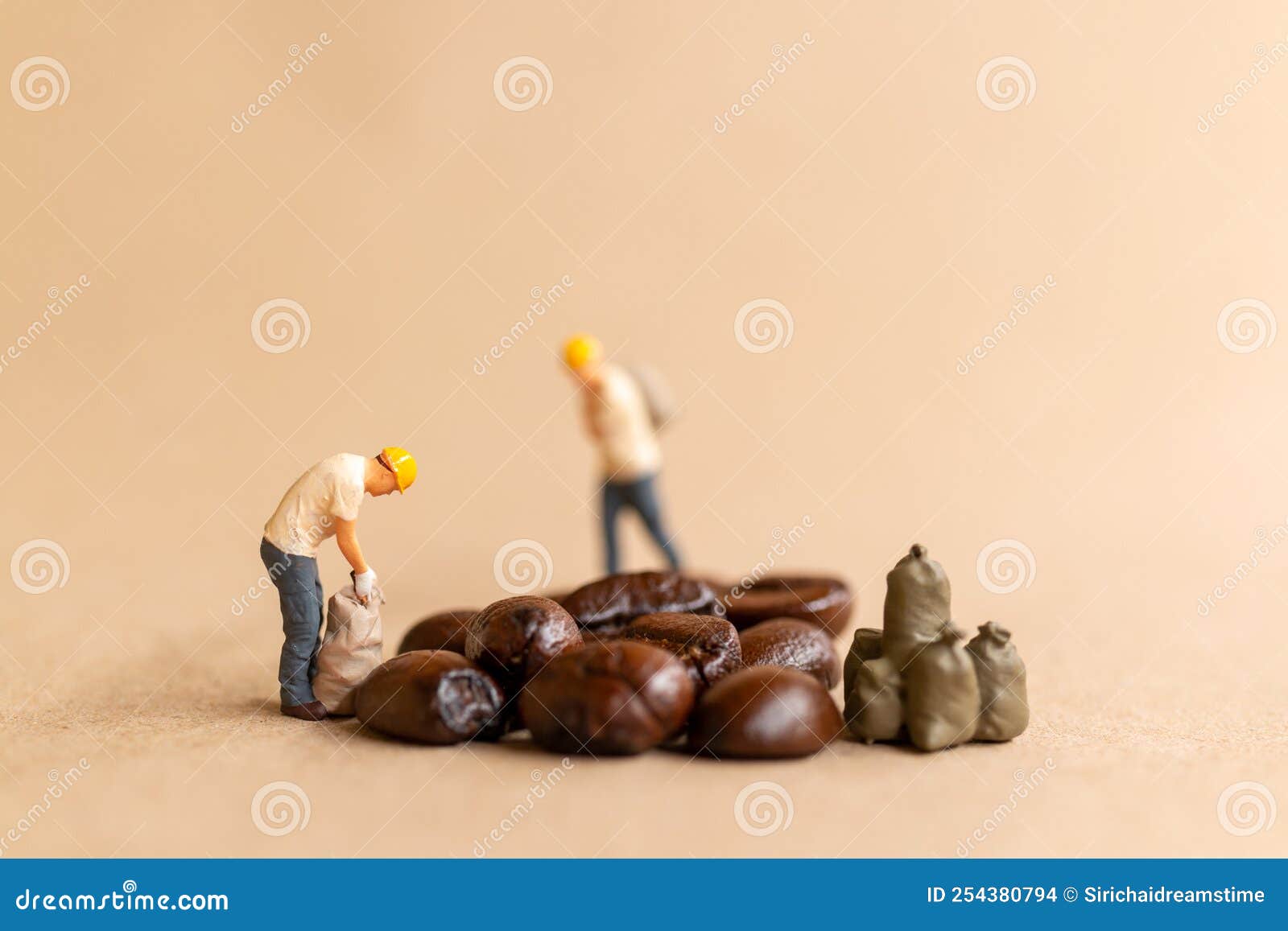 Miniature Worker Team Working with Coffee Beans Stock Photo Image of