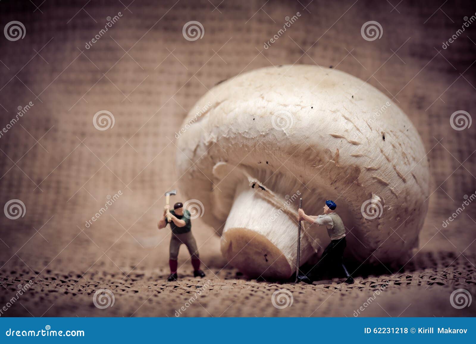 miniature workers cutting down gian mushroom. food concept. color tone tuned