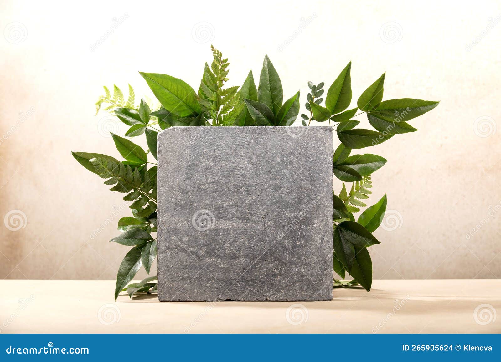 minimal modern product or logo display, granite stone block and leaves on neutral beige background