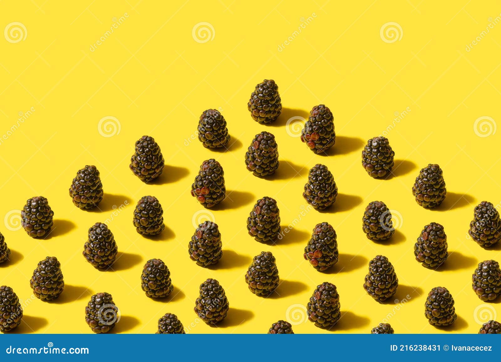 minimal pattern of organic natural blackberries. arrangements on optimistic yellow background with creative coly space