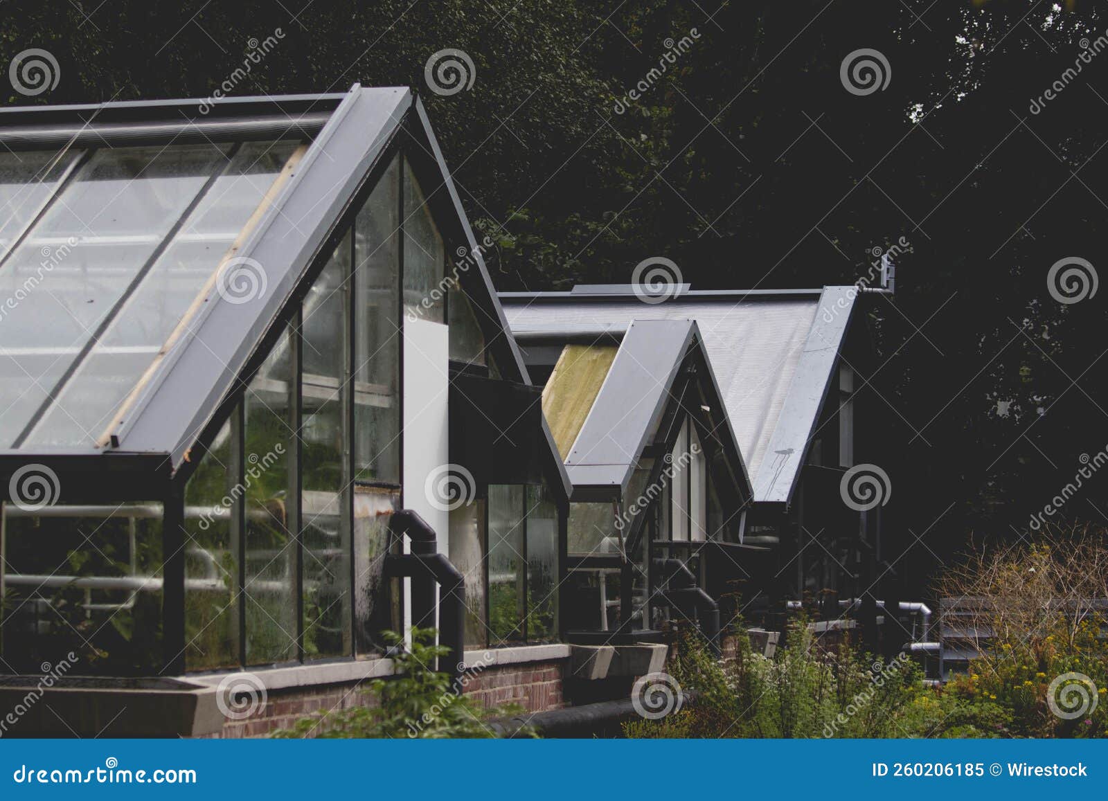 Black Greenhouses in the Woods Stock Image Image of architecture