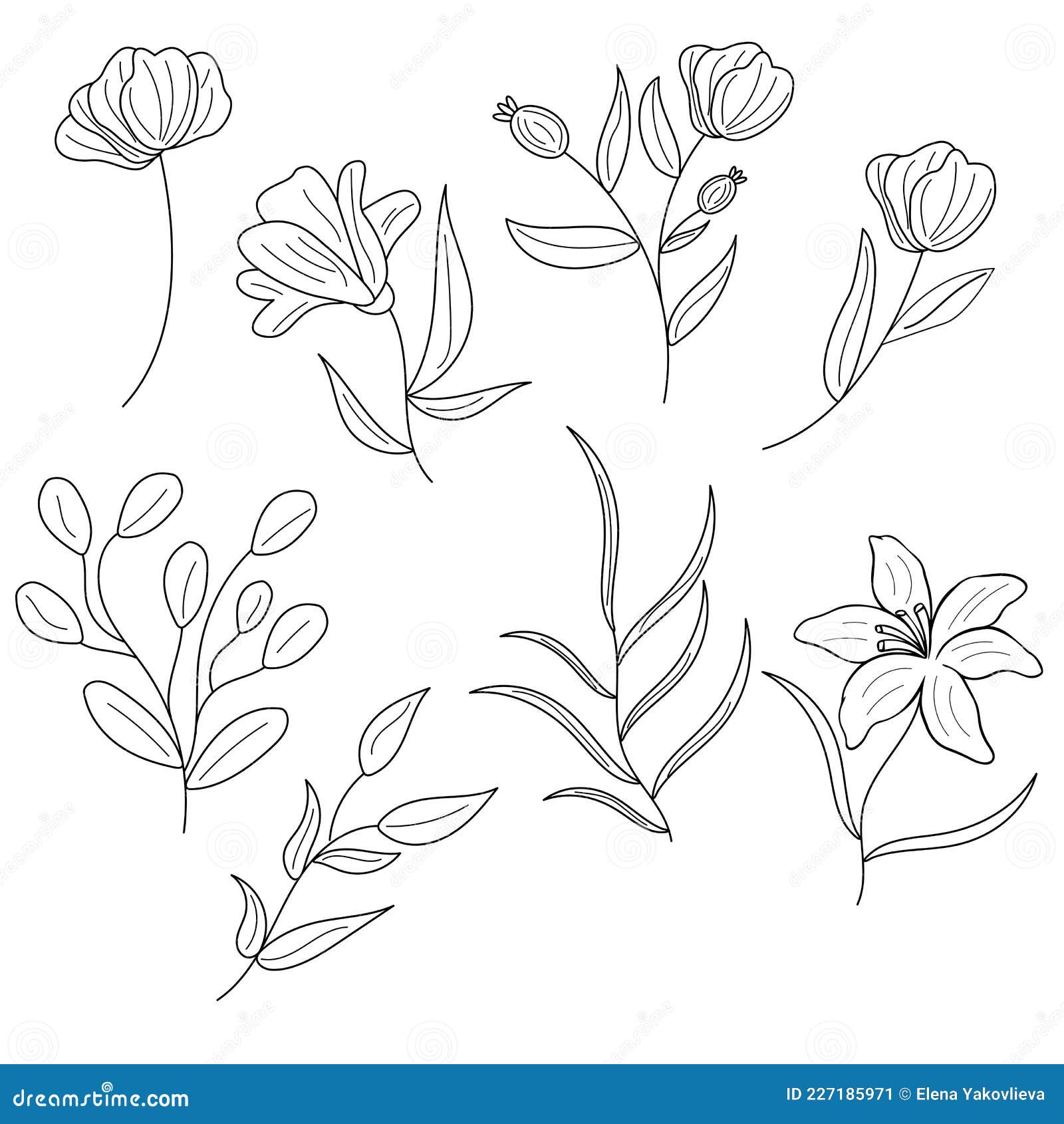 Minimalist Botanical Sketch, Hand-drawn Flower, Leaf. Thin Line, Tattoo Design Stock Vector - Illustration of person, floral: 227185971 Minimalist Botanical Sketch, Hand-drawn Flower, Leaf. Thin Line, Tattoo Design Stock Vector - Illustration of person, floral: 227185971
