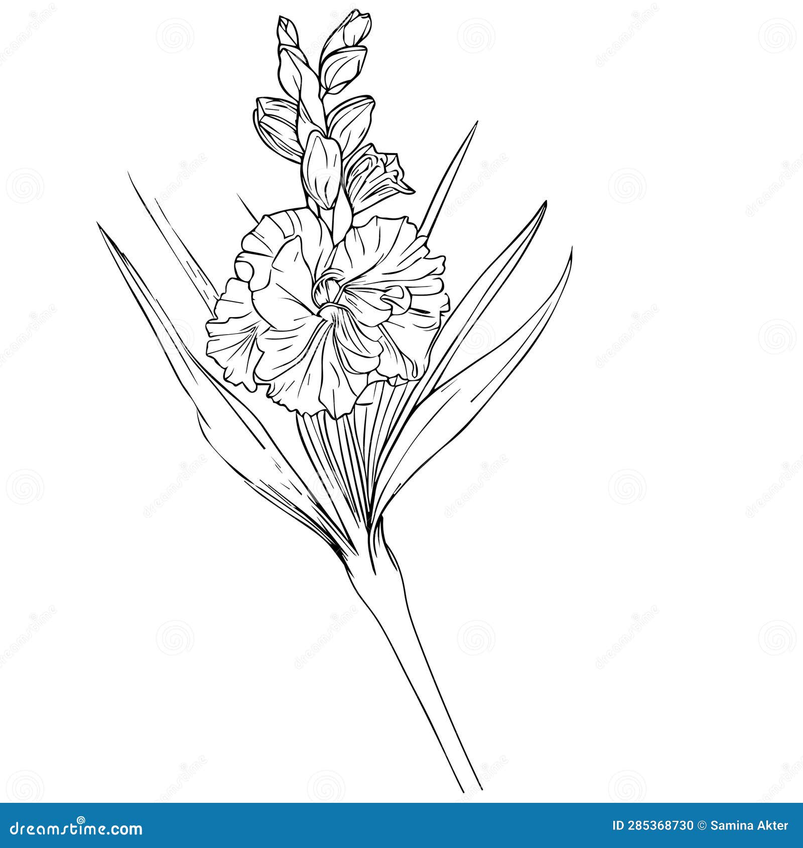Gladiolus branches | Instagram
