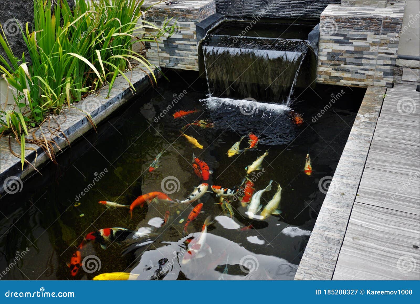 Minimalist Koi Fish Pond Stock Image Image Of Asian 185208327