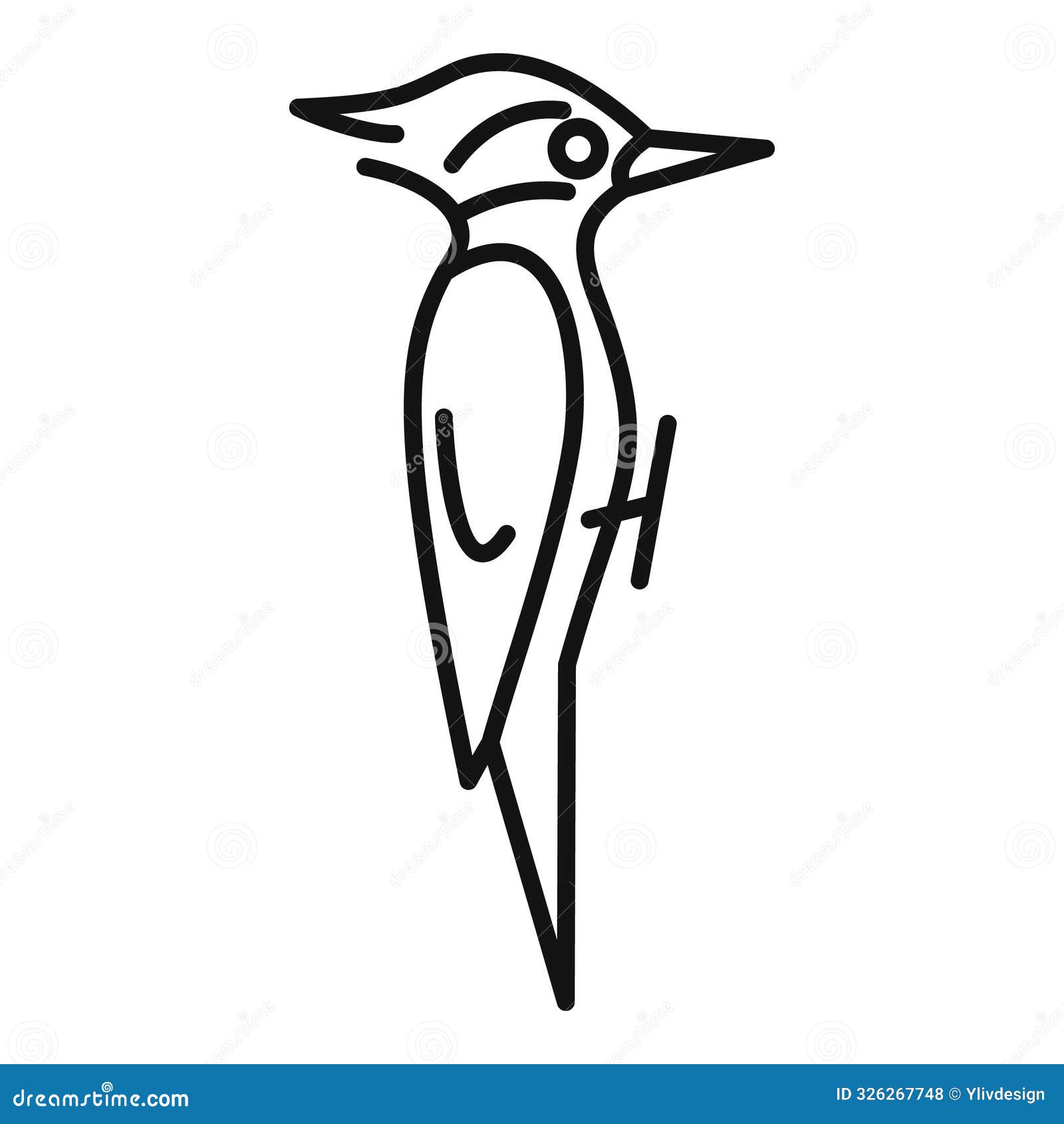 woodpecker bird standing looking right side view minimalist line drawing