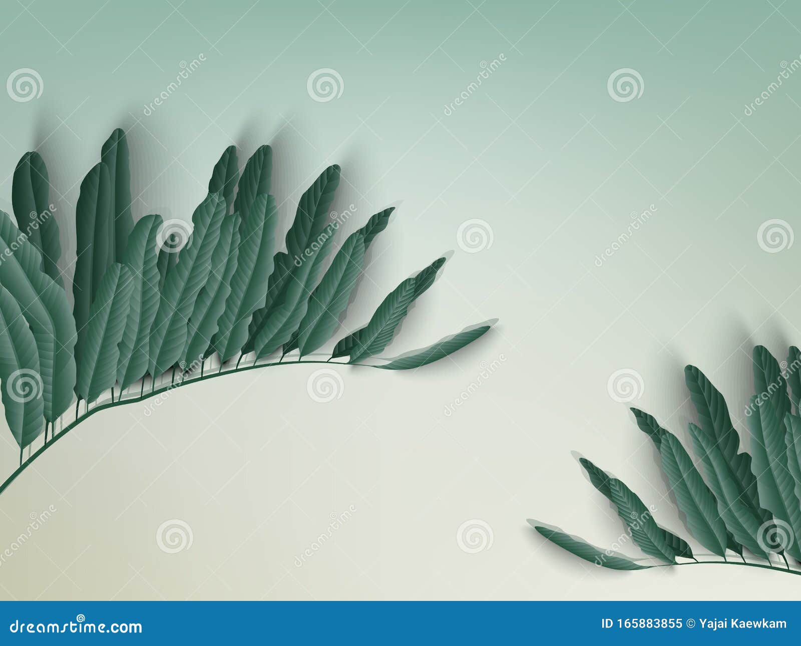 Minimalist Pastel Green Leaves on Light Green Background with Shadow Stock  Vector - Illustration of floral, exotic: 165883855