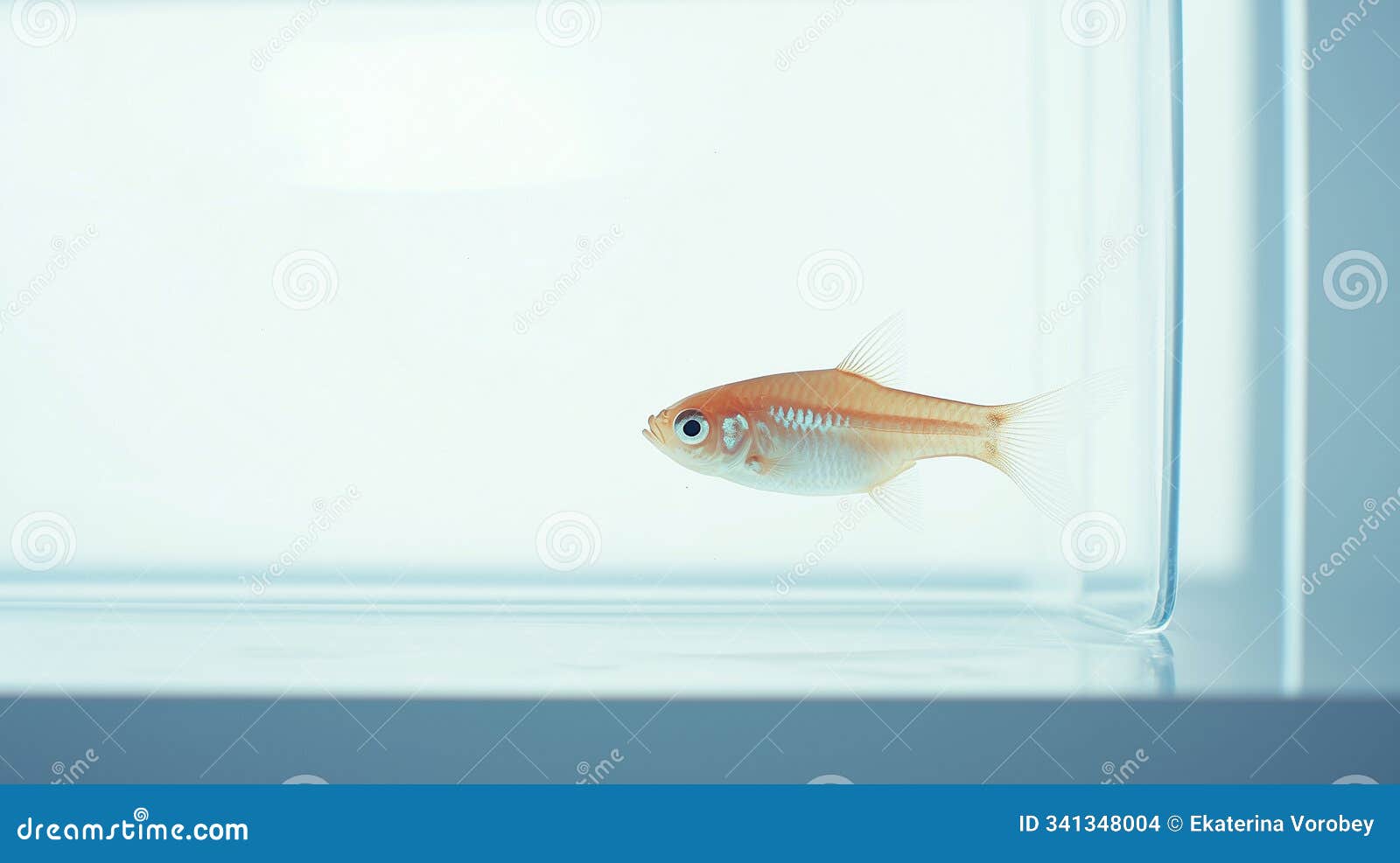 minimalist scene with a modern nano aquarium, a single coral piece, clean white background, generative ai
