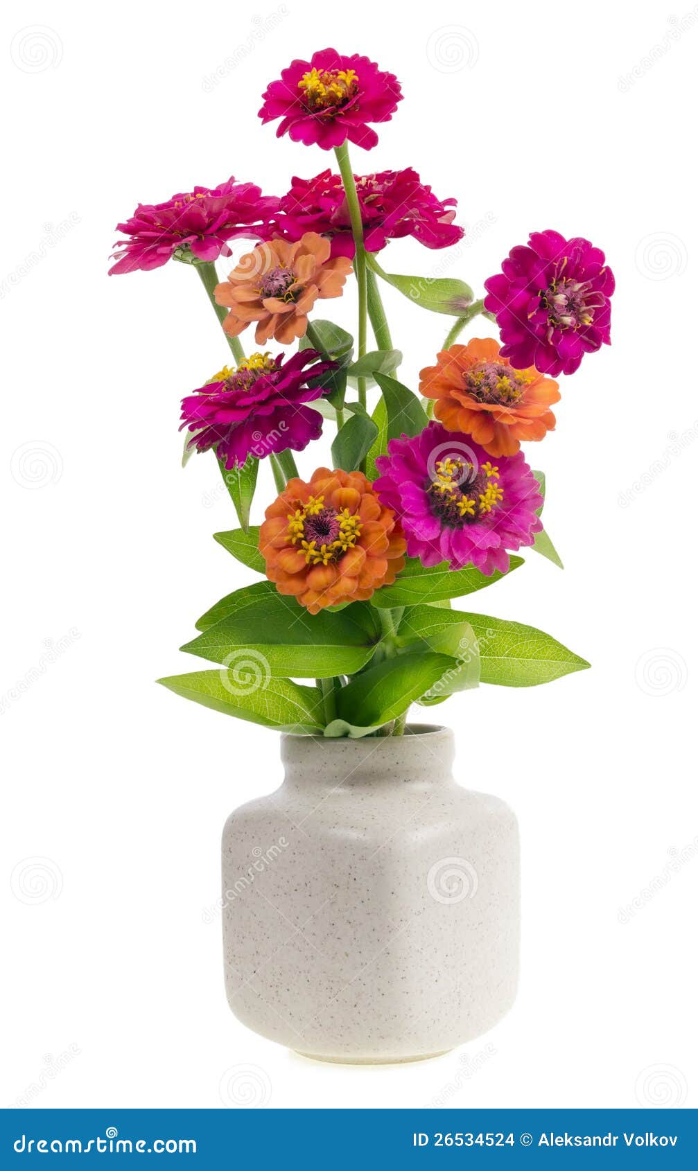 Minimalistic bukiet - mini kwiaty. Minimalistic bukiet liczba 4 - mini magebta pomarańczowi kwiaty w ceramicznej garnka wazie odizolowywającej. Selekcyjna ostrość
