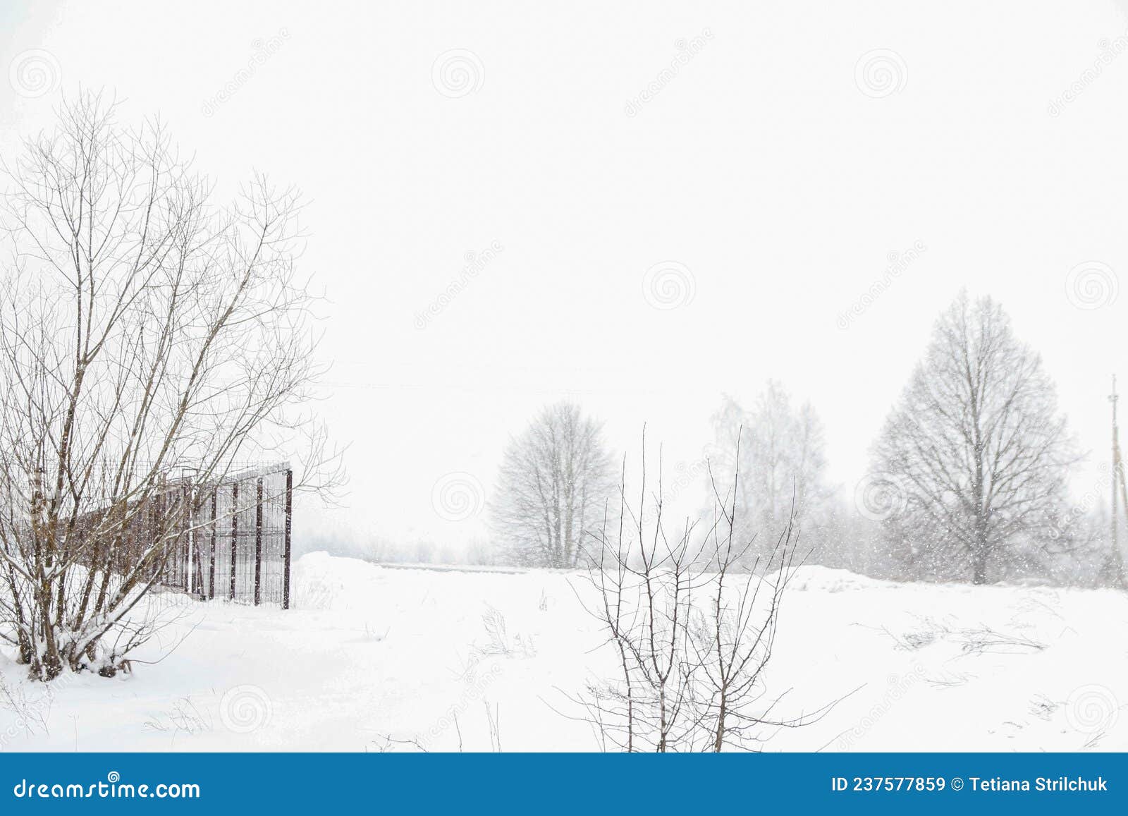 minimalistic landscape in snowy winter season. frosty winter morning. cold weather background concept. mysterious winter