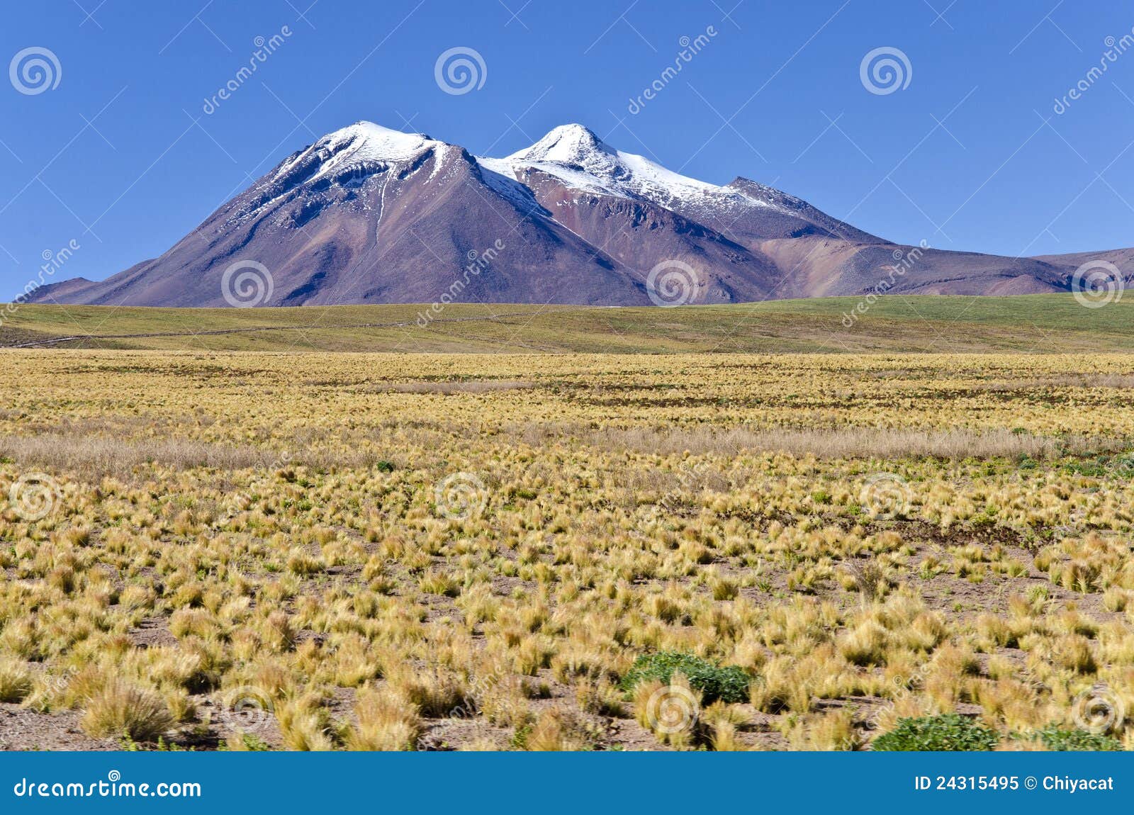 miniques in altiplano chile #6