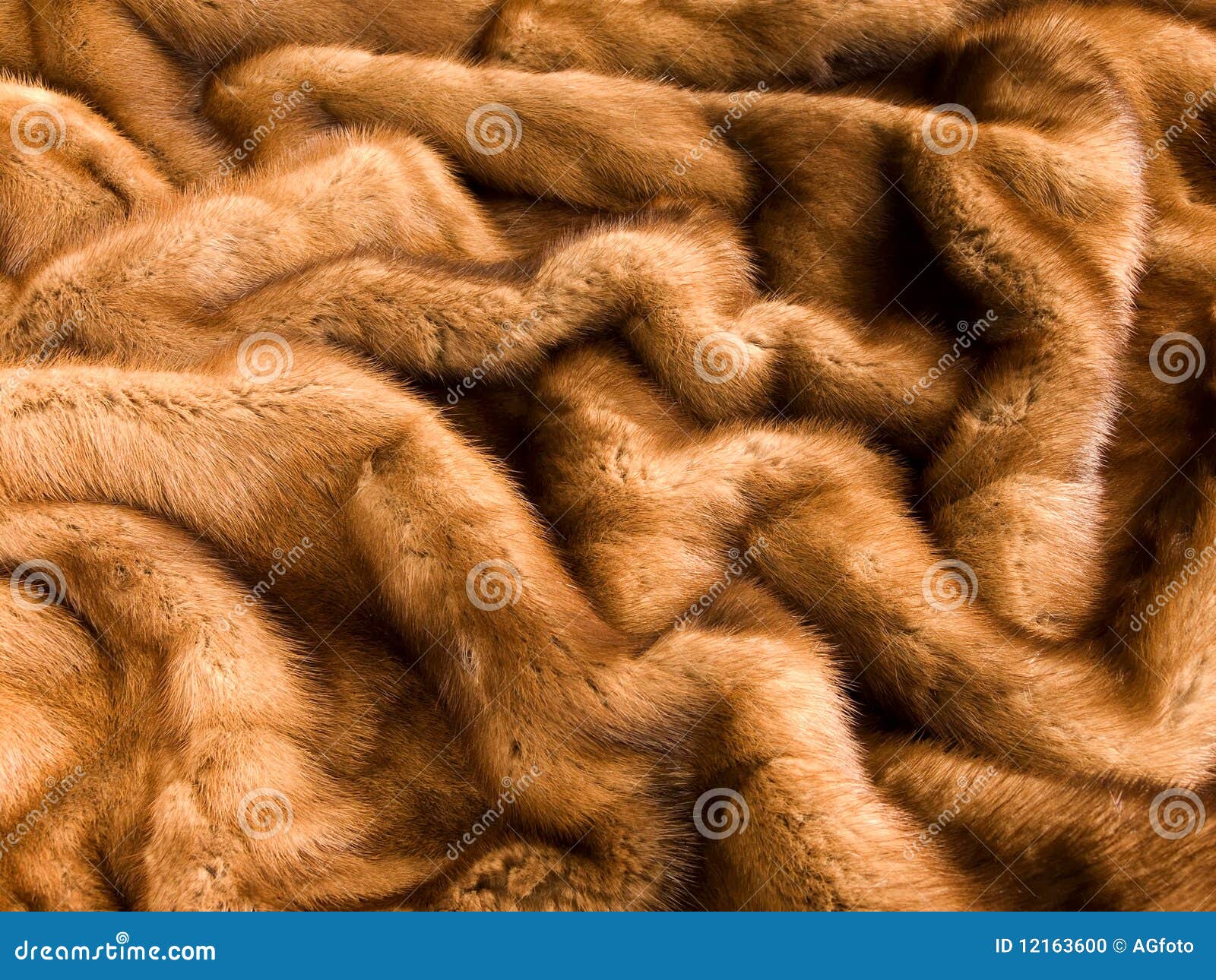 Mink fur stock photo. Image of nature, elegant, close - 12163600