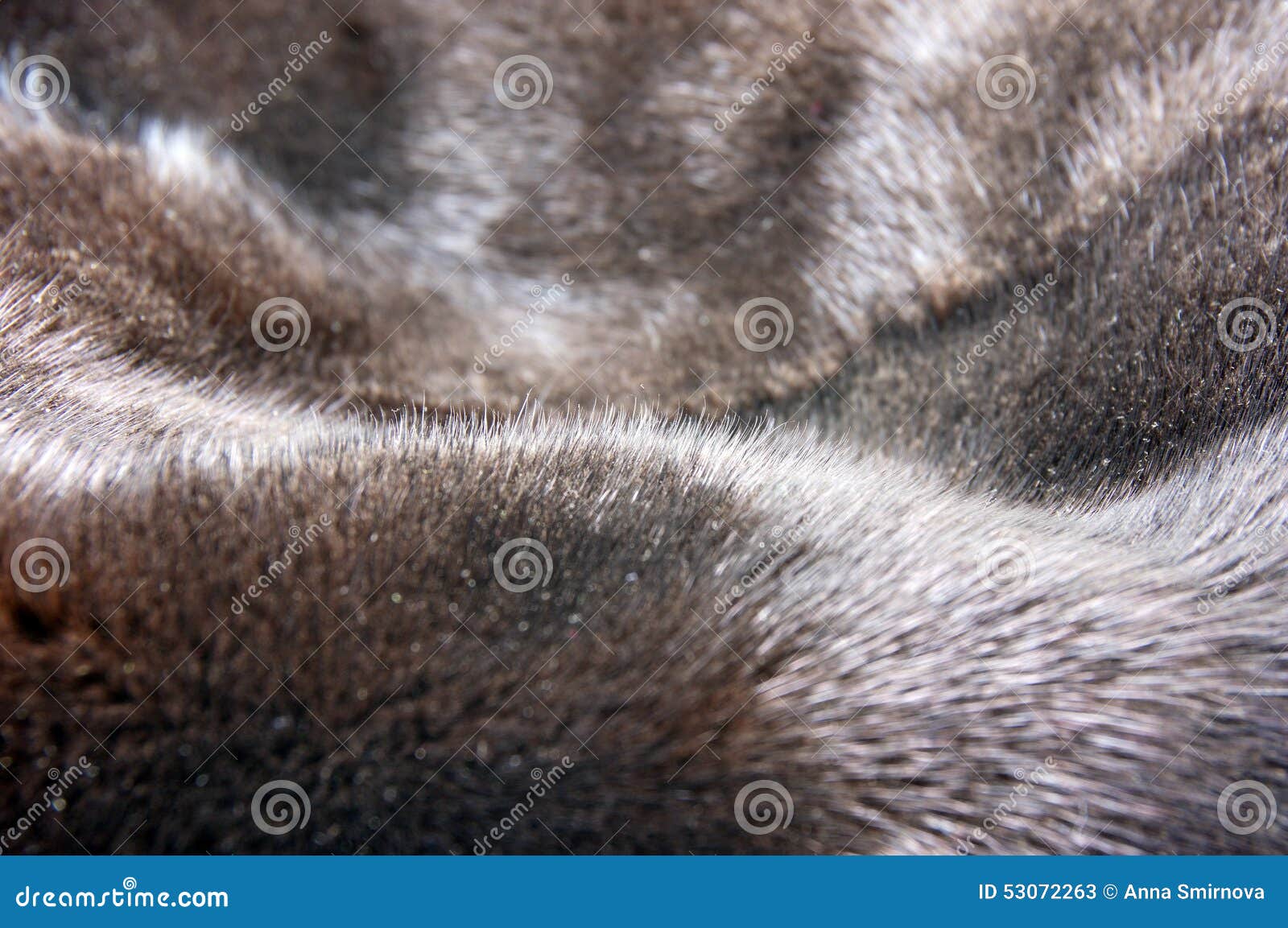 Mink Fur Texture Background Stock Image - Image of nature, natural