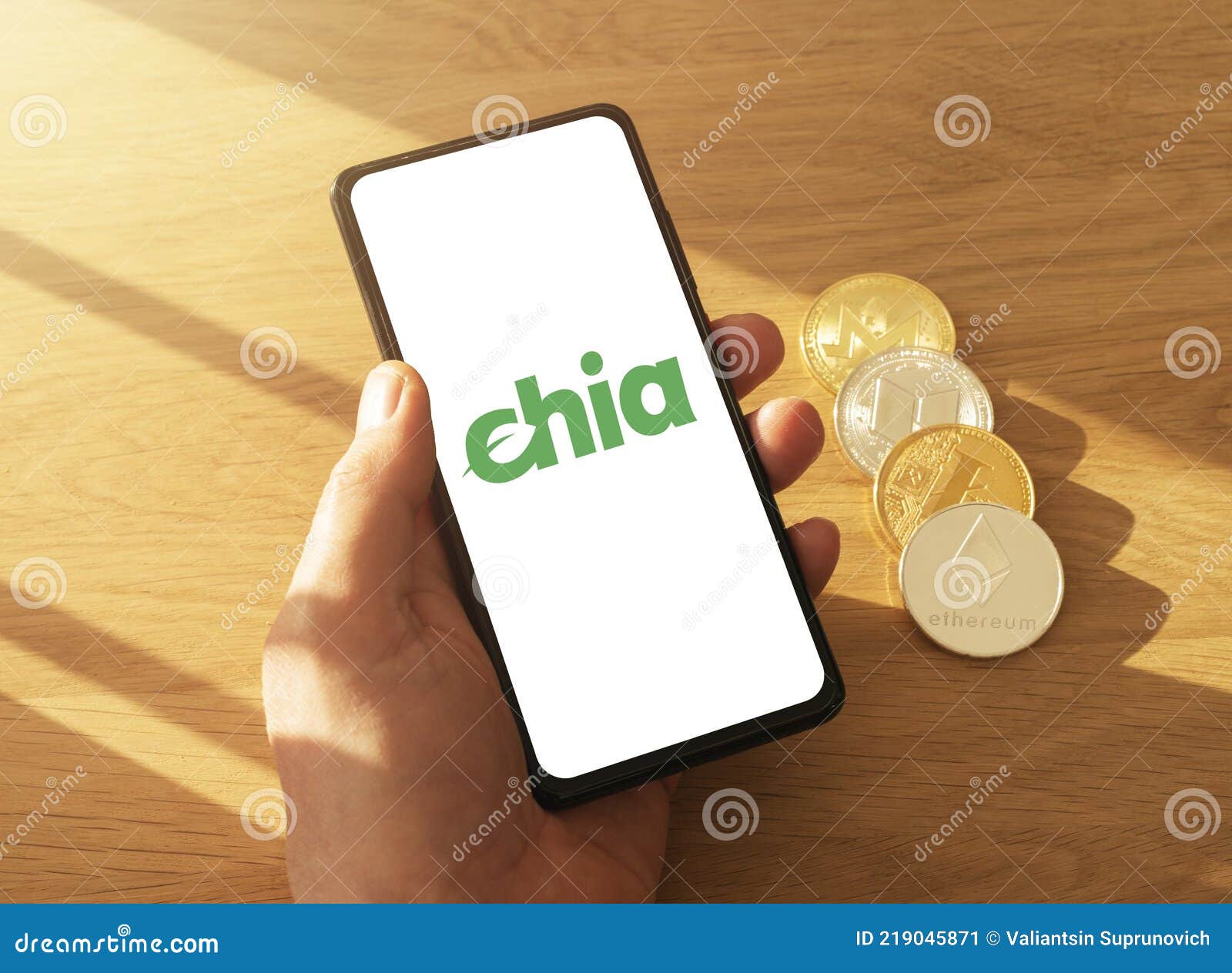 chia coin currency