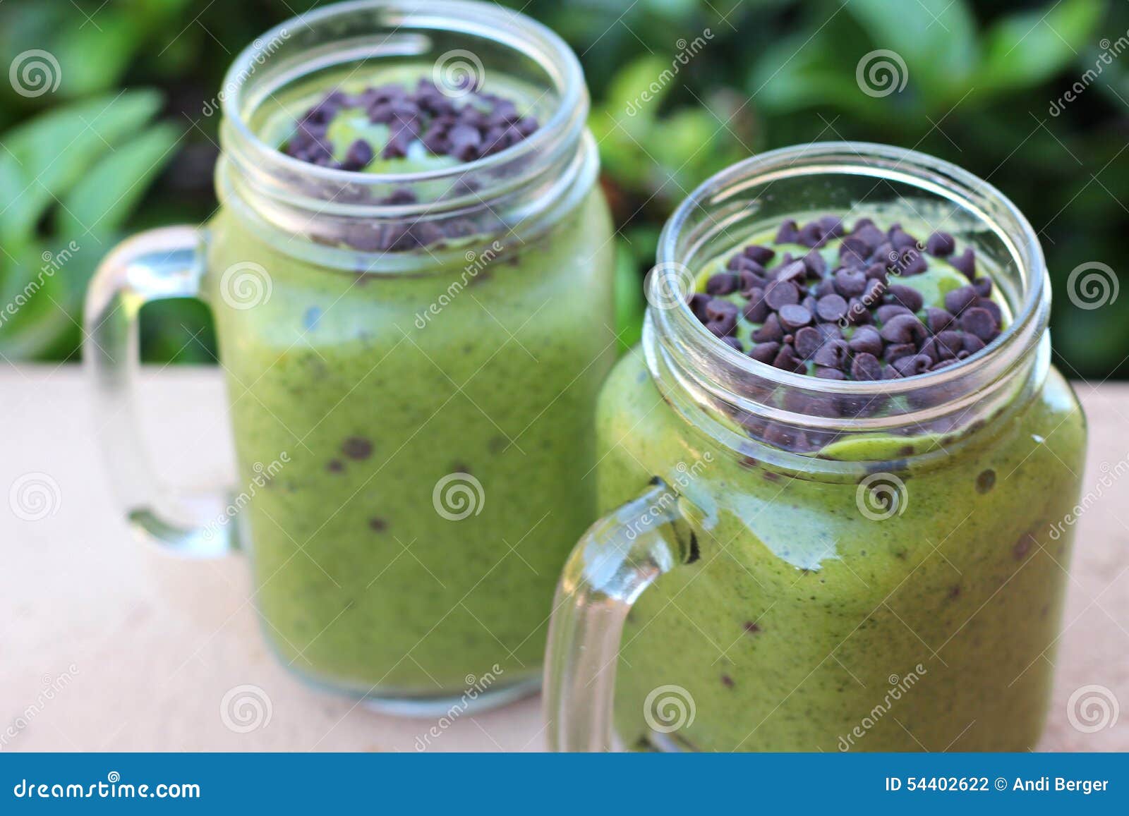 Mint Chocolate Chip Smoothie Mug Stock Photo Image of healthy, milk