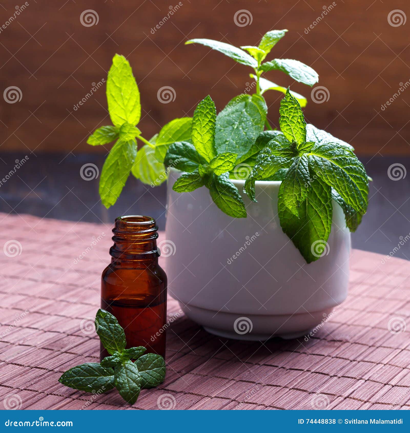 Mint essential oil stock photo. Image of moisture, purity 74448838