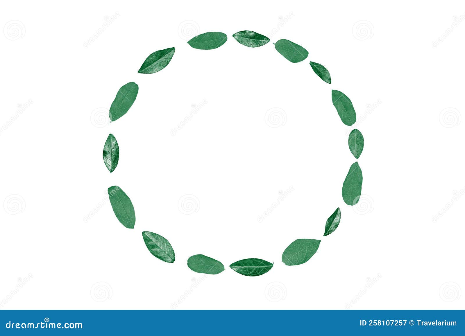 Mint Green Leaves As Circle Frame Isolated on White Background, Empty