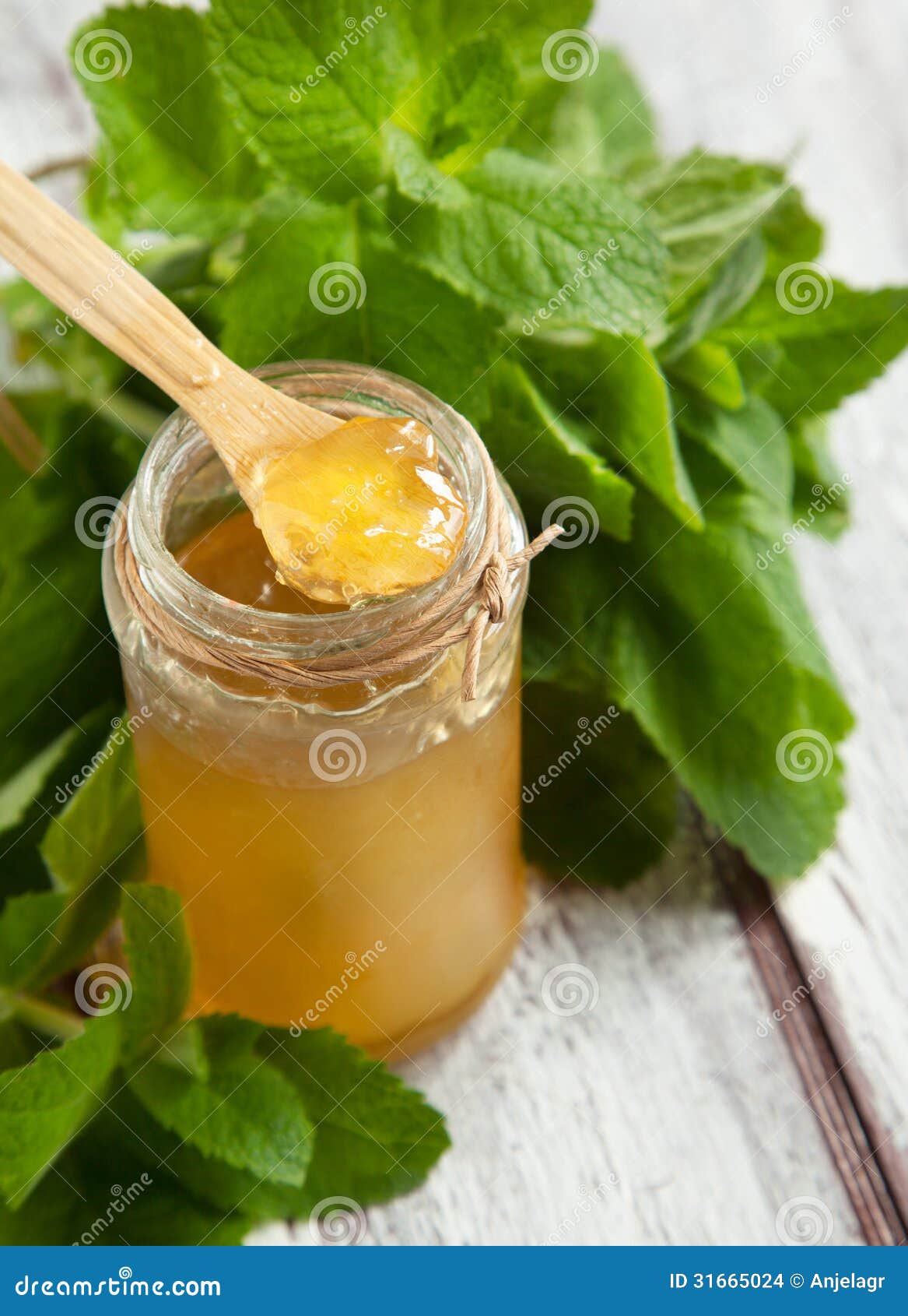 Mint jelly stock photo. Image of meal, summer, food, dessert 31665024