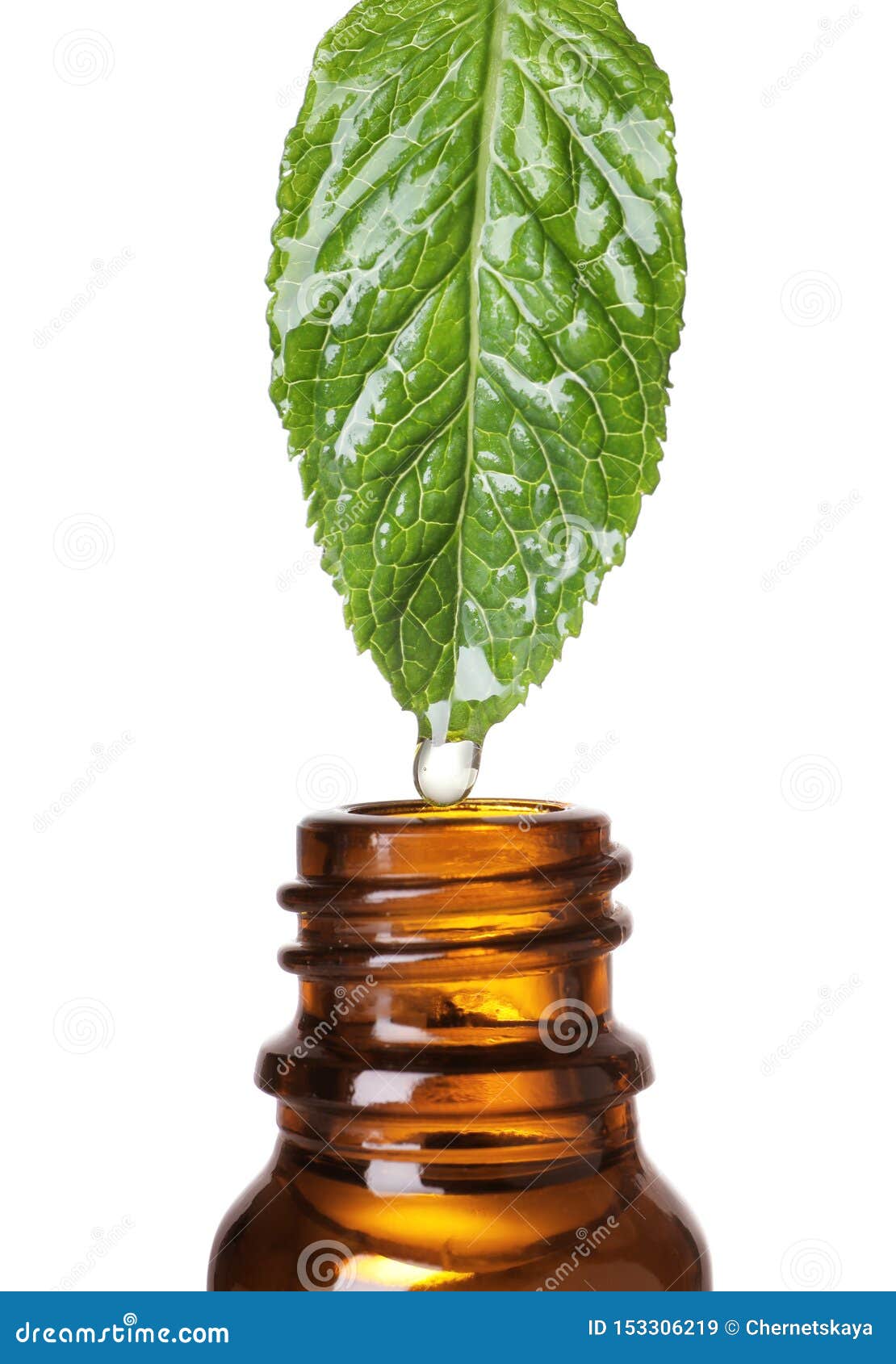 Mint Leaf with Drop of Essential Oil Over Bottle Stock Image Image of