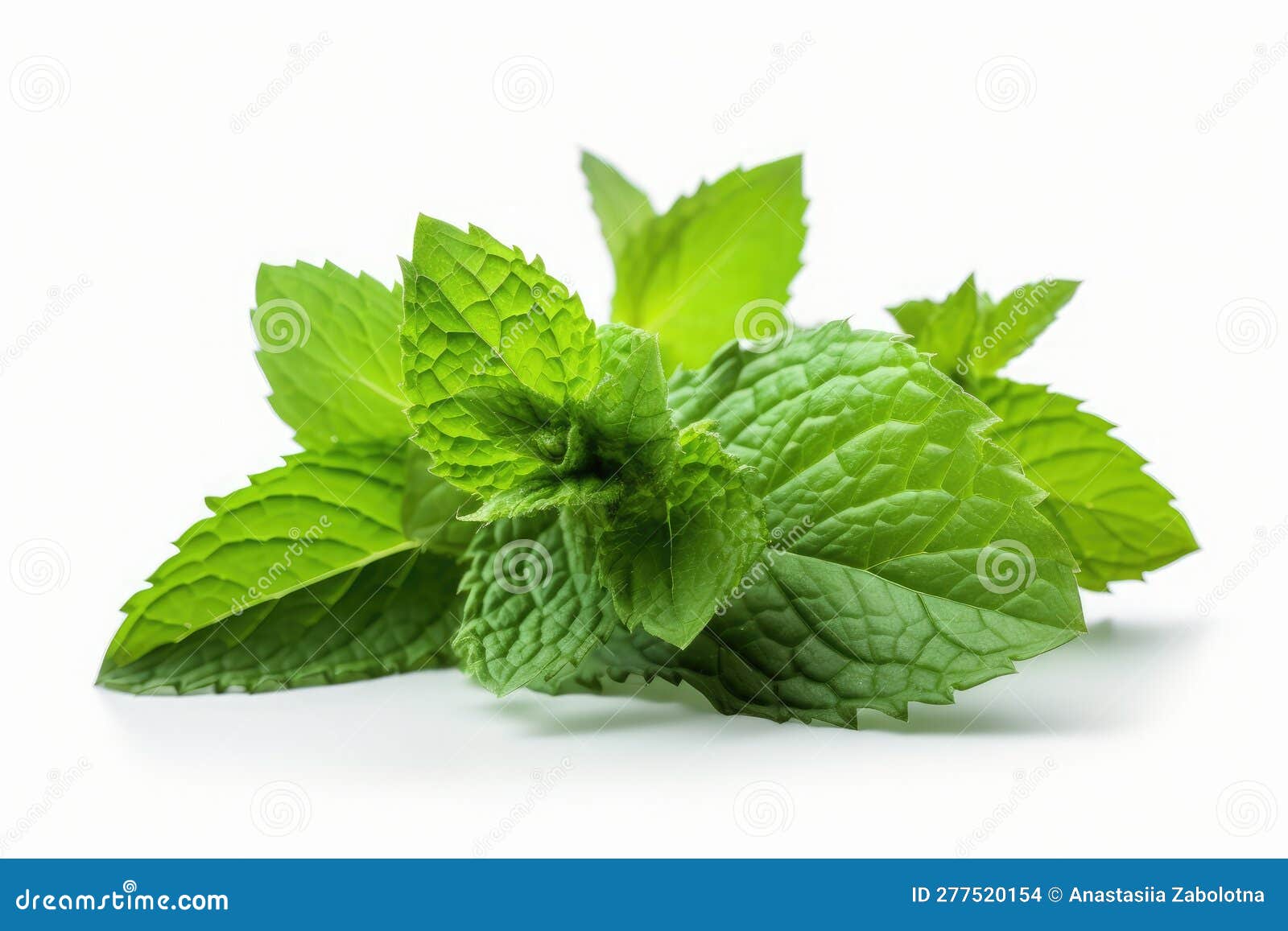 Mint Leaf on White Background. Generative AI Stock Illustration