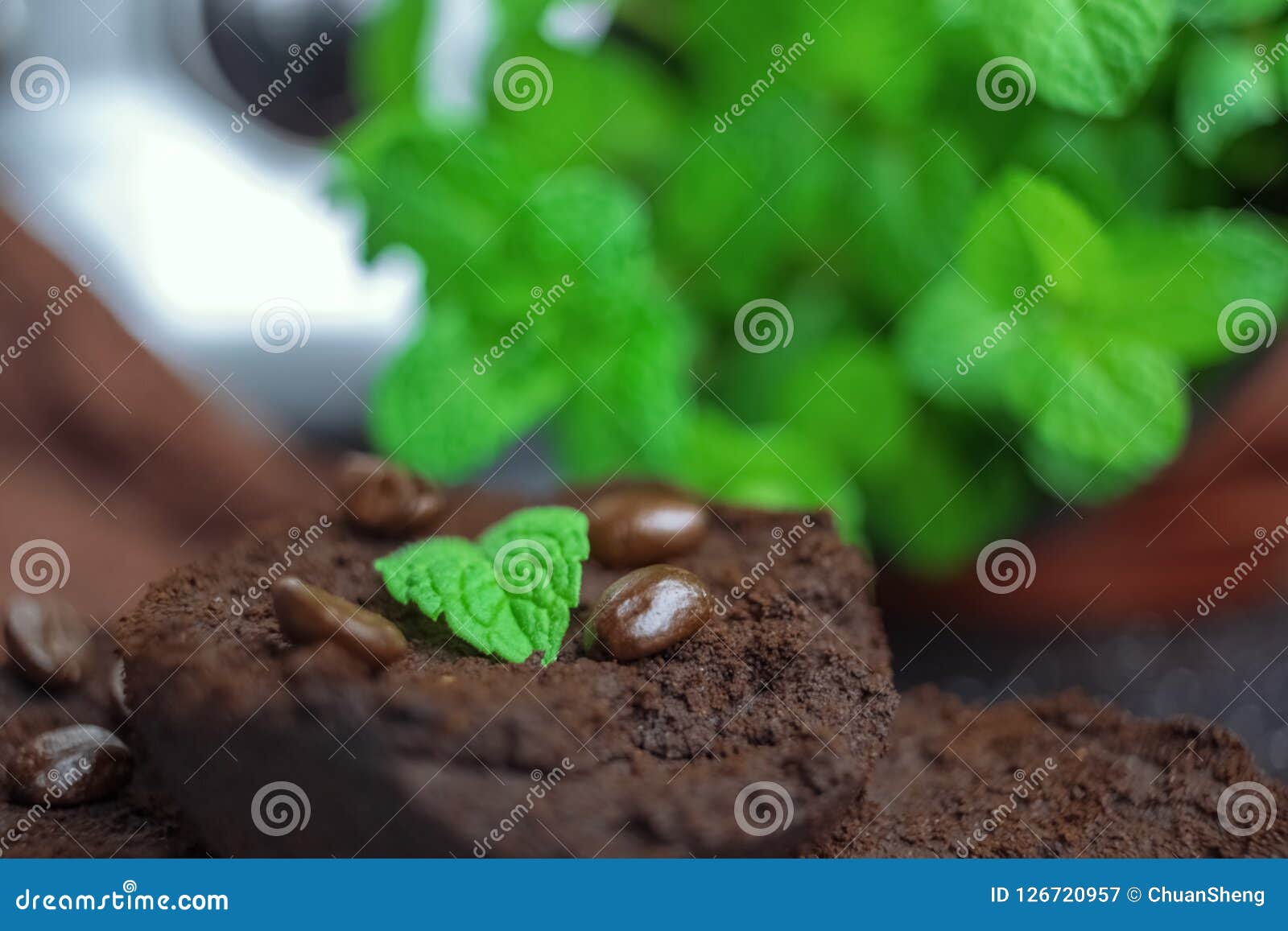 mint leaves on coffee grounds