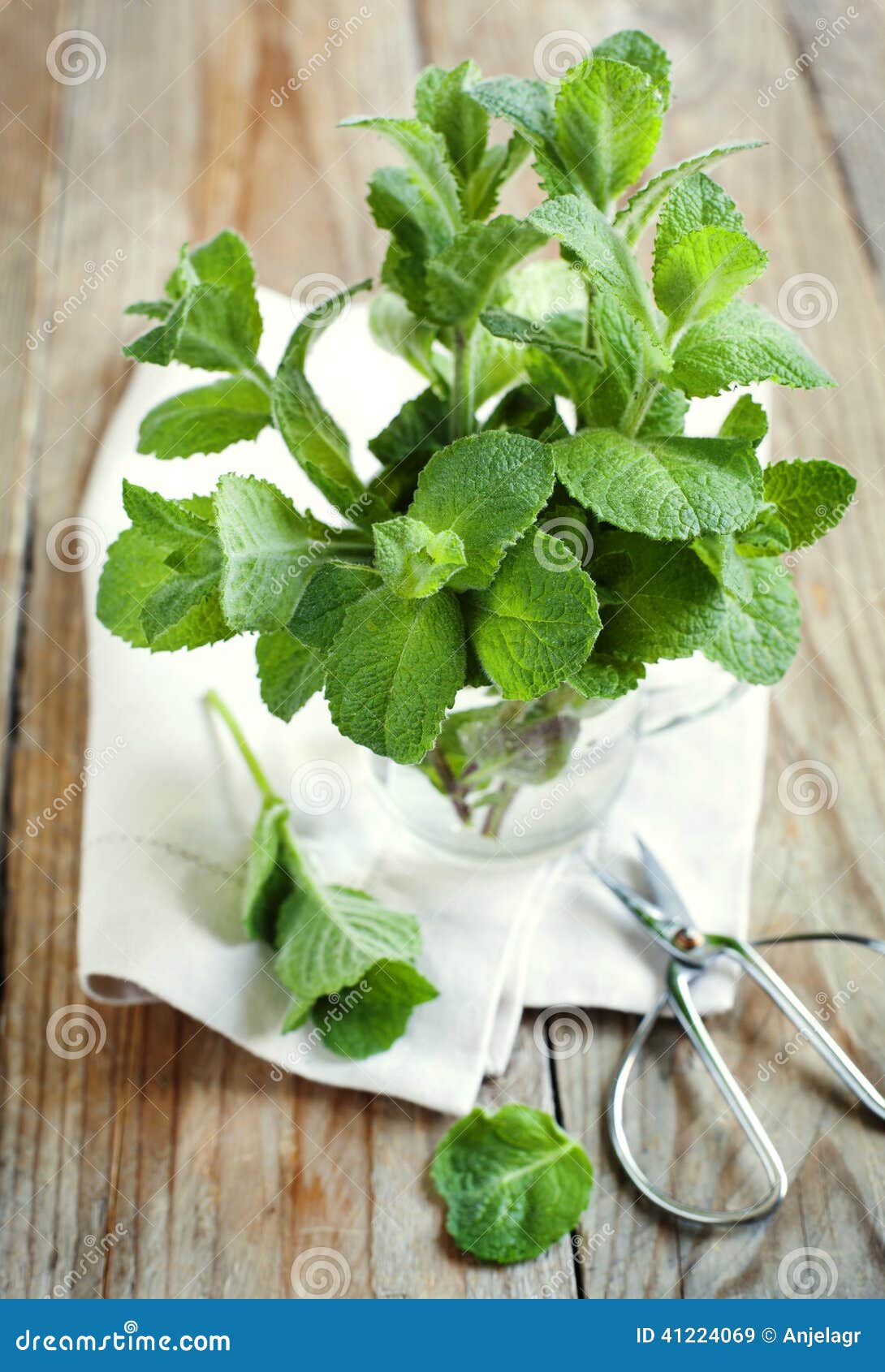 Mint leaves in cup stock image. Image of pile, lifestyle 41224069