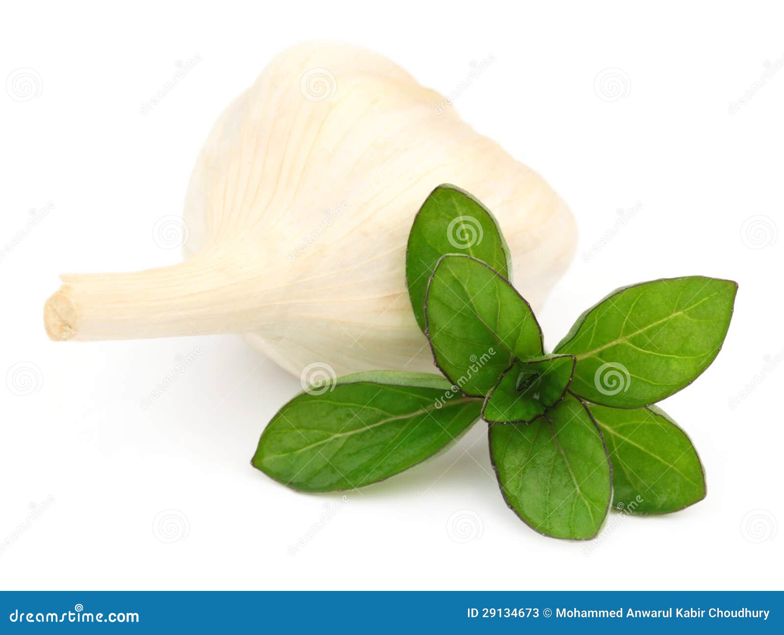 Mint leaves with Garlic stock image. Image of produce 29134673