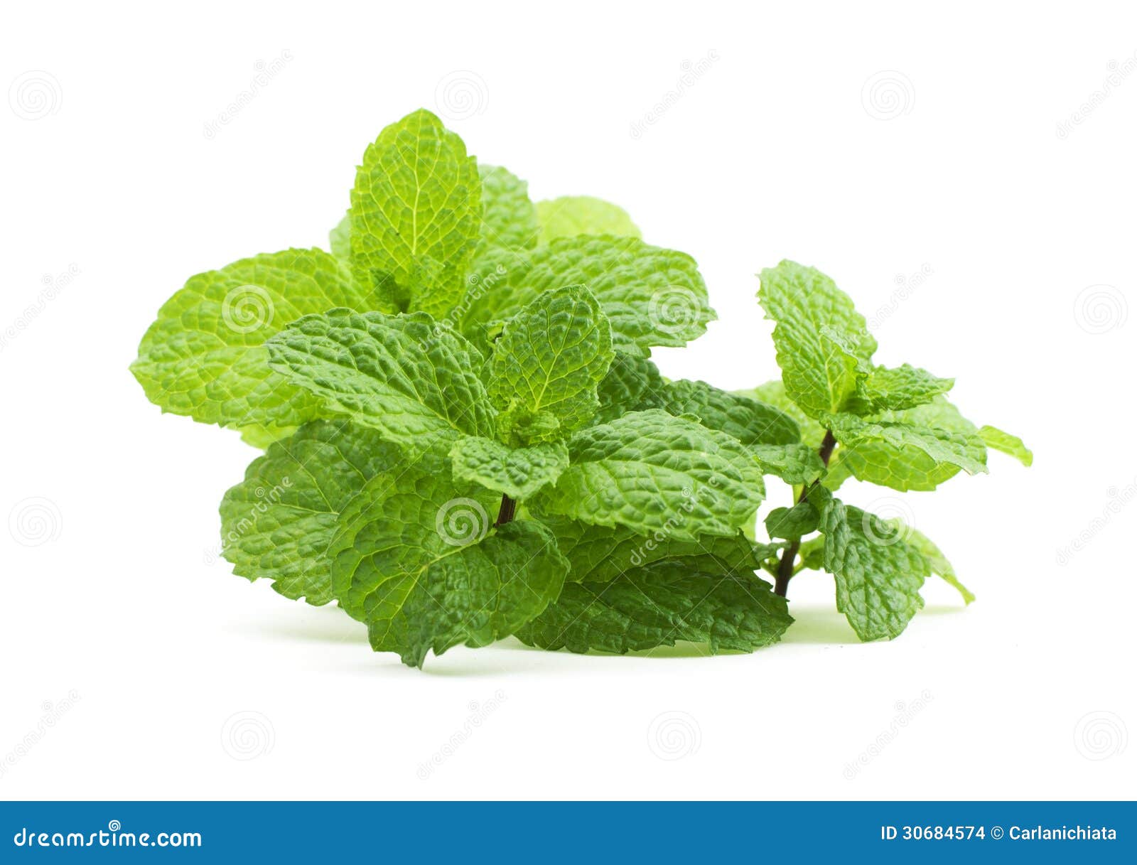 Mint stock photo. Image of isolated, healthy, massage 30684574