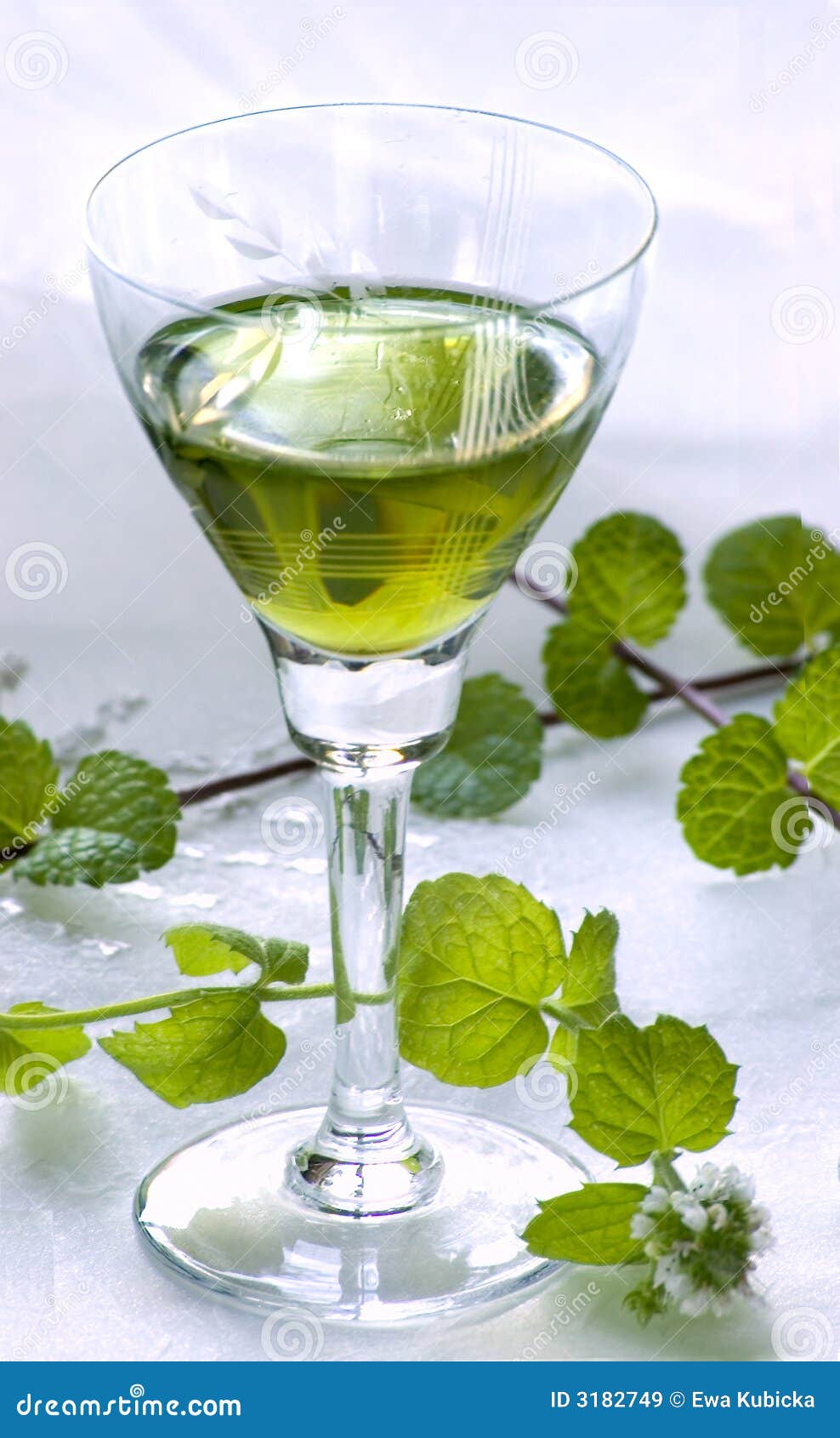 Mint liquor and fresh mint stock image. Image of glass 3182749