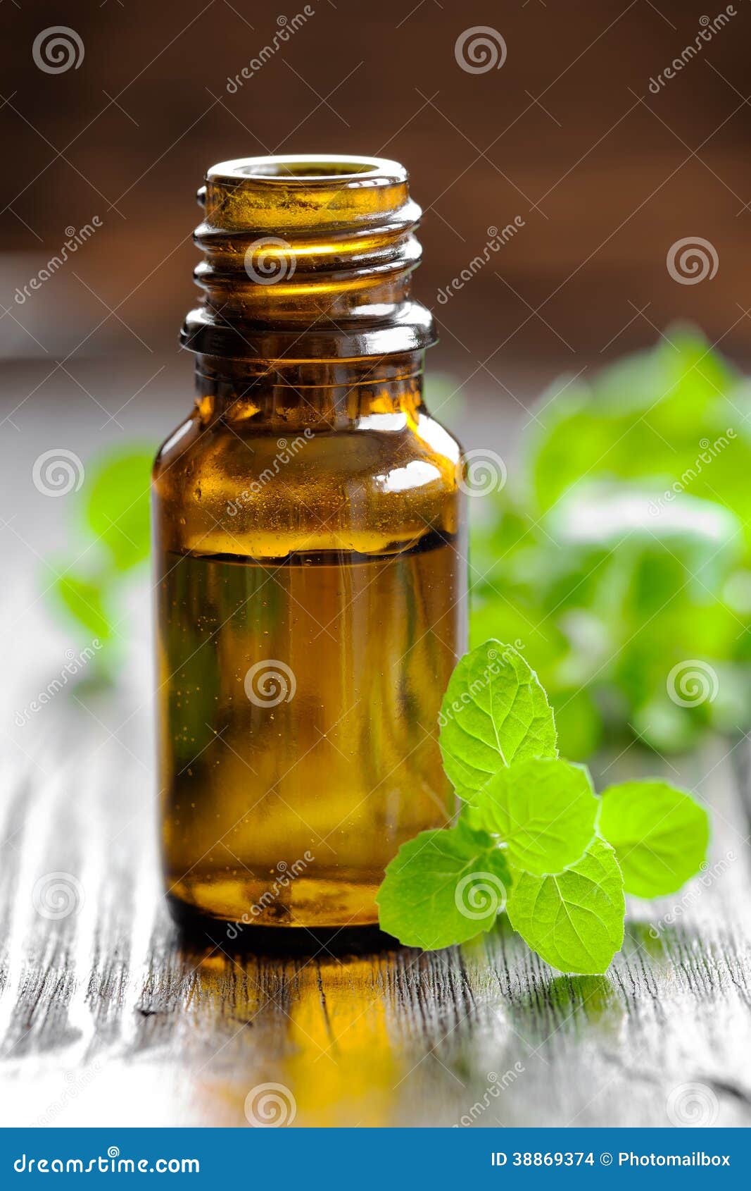 Mint oil stock photo. Image of healthy, honeymint, balm 38869374