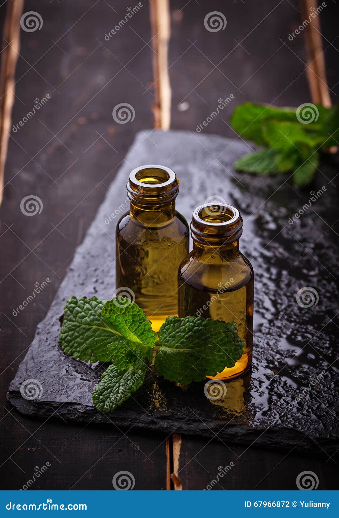 Mint Oil In Small Bottles And Fresh Mint Stock Photo Image of