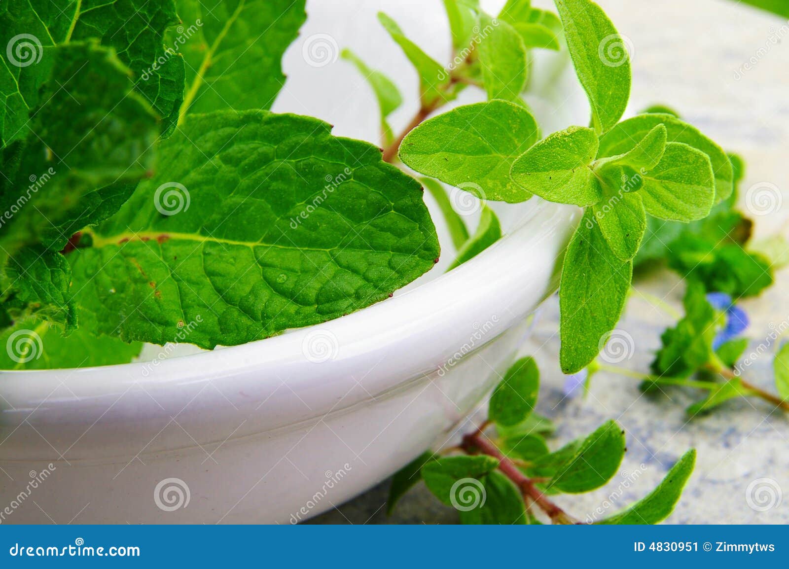 Mint and oregano stock image. Image of organic, macro 4830951