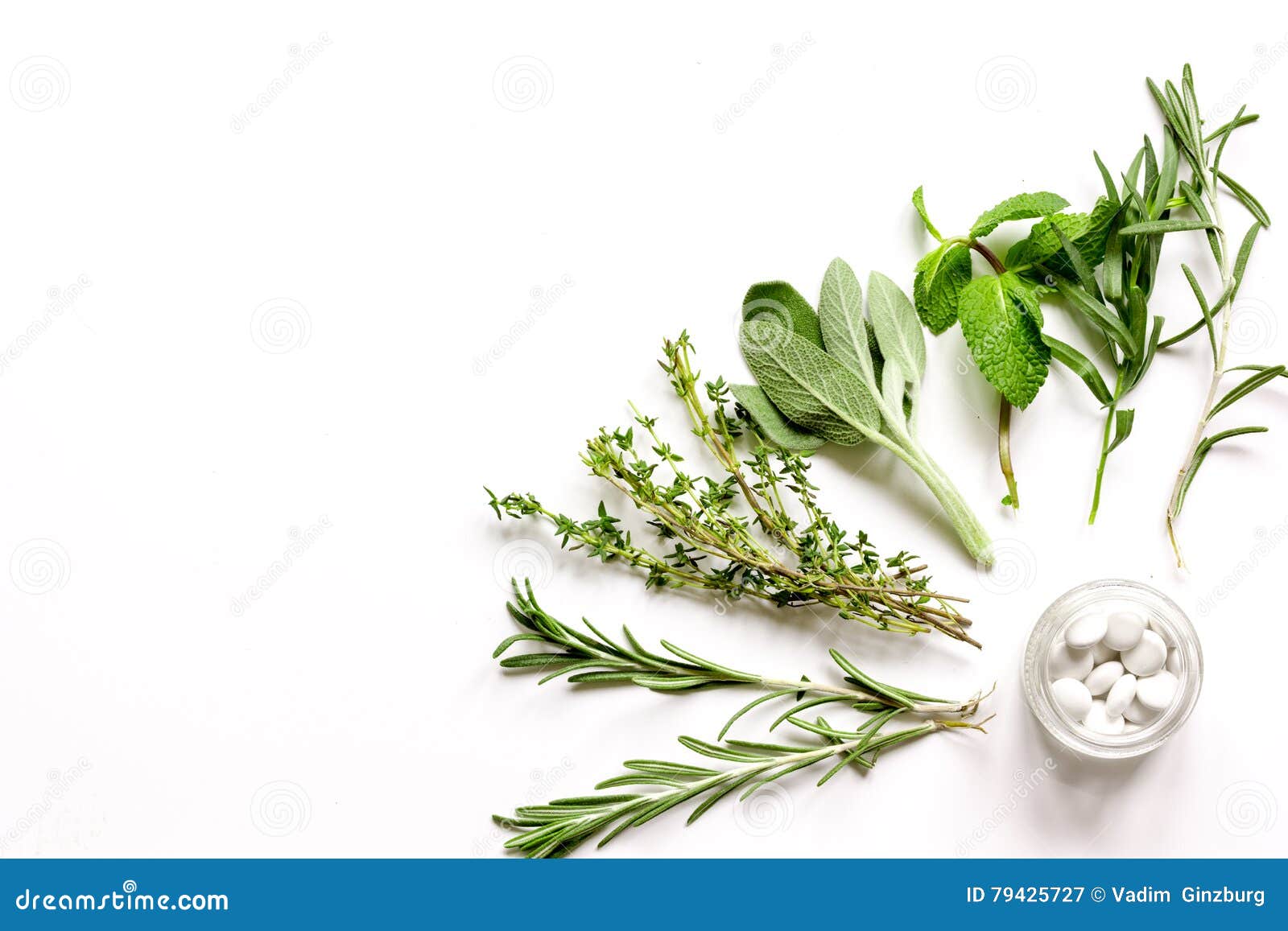 Mint, Sage, Rosemary, Thyme - Aromatherapy White Background Stock Image ...