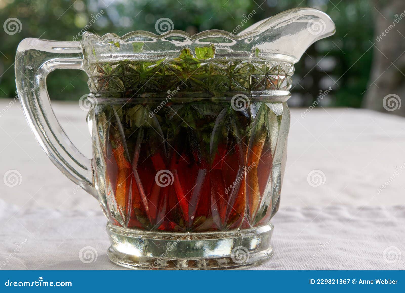 Mint Sauce in a Crystal Jug Stock Image Image of green, essential