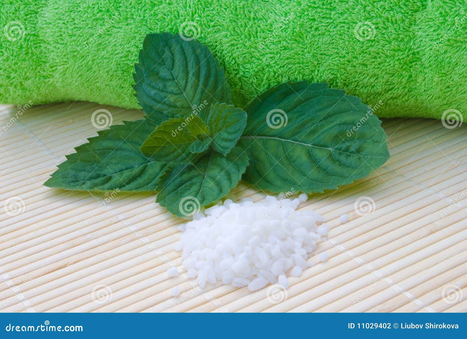 Mint spa stock photo. Image of treatment, mint, medicine 11029402